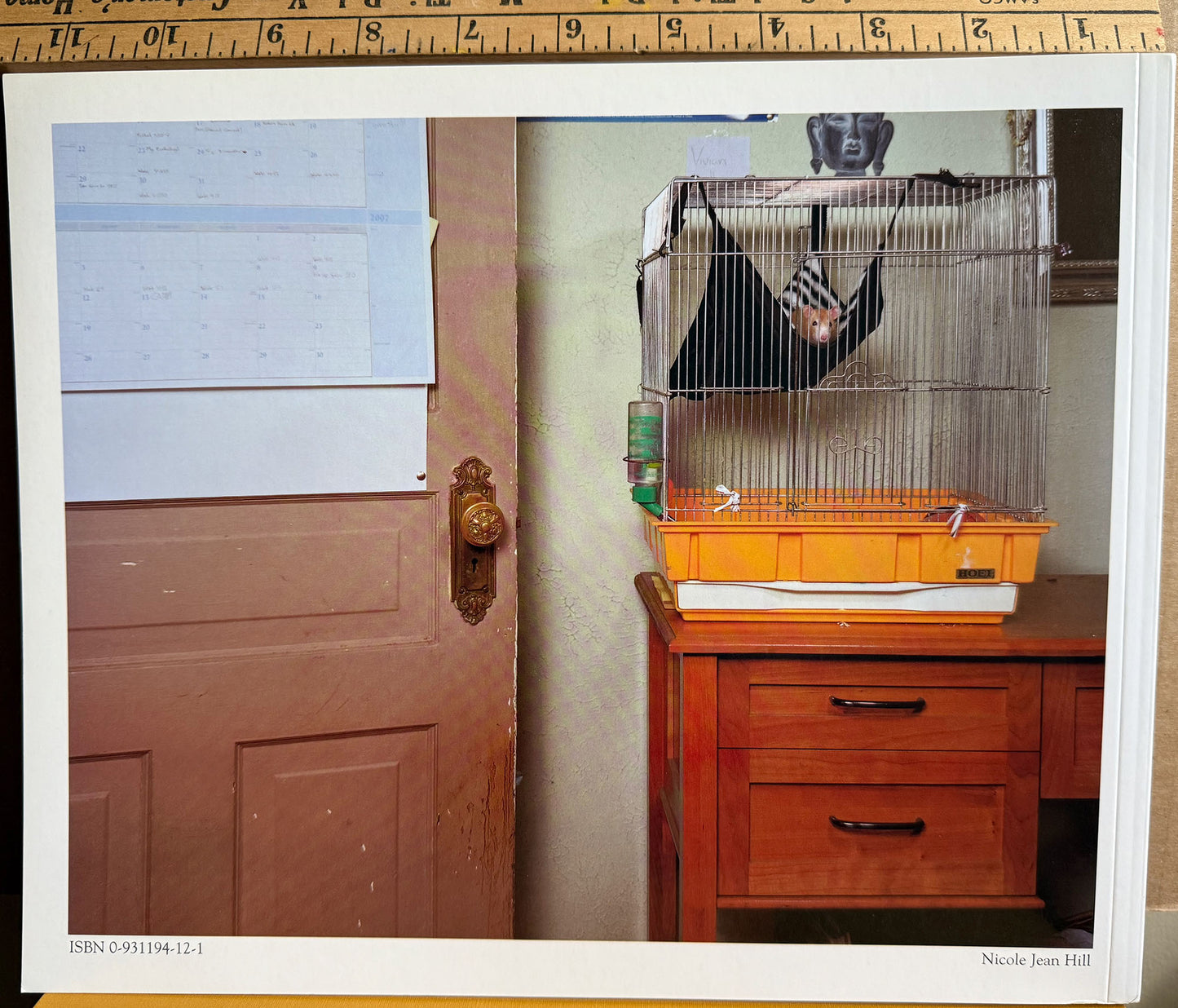 Blue Sky Annual Yearbook 07/08. Featuring Sage Sohier, Robert Rauschenberg, et al.