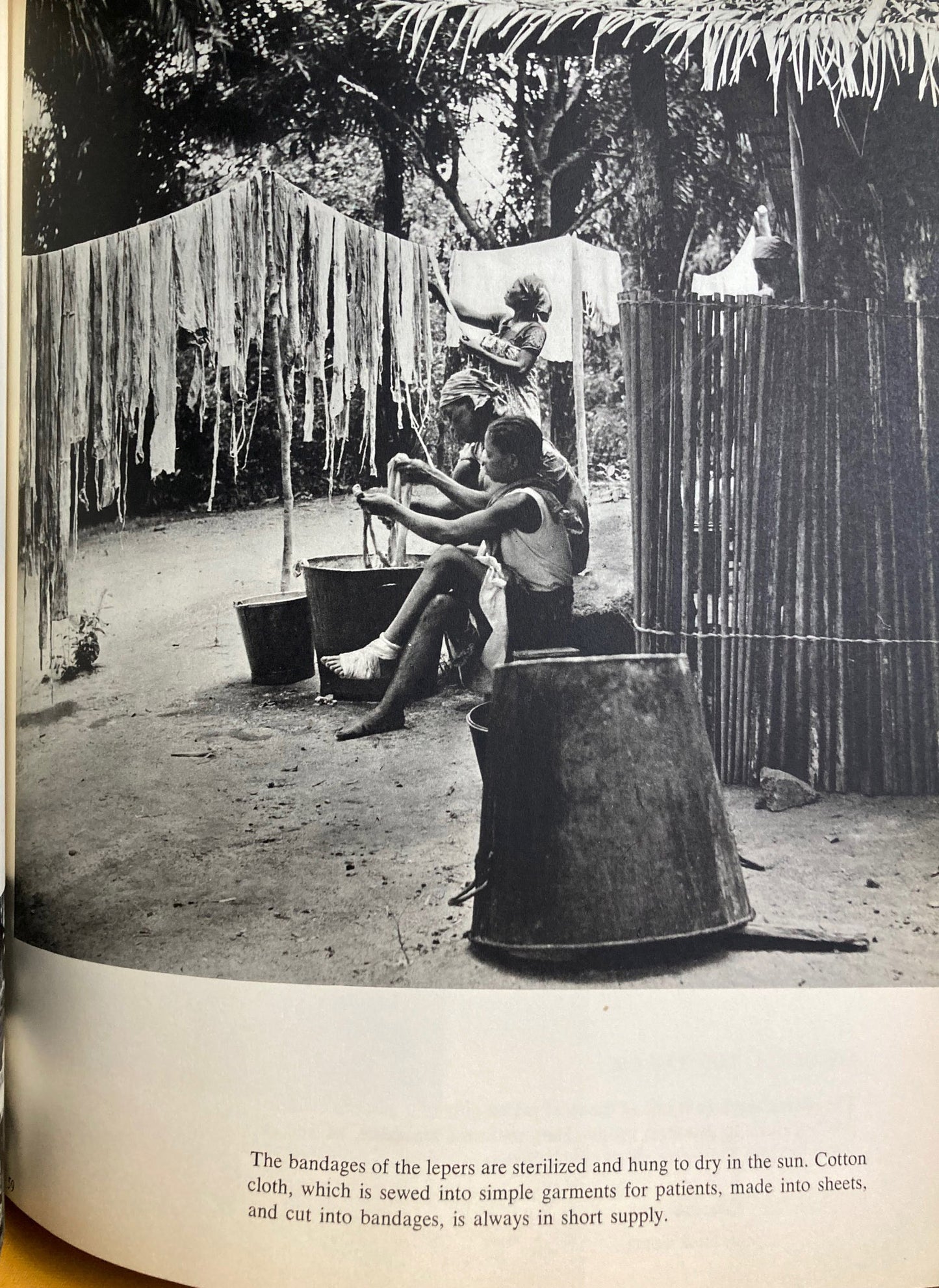 Anderson, Erica. The World of Albert Schweitzer. A Book of Photographs by Erica Anderson.