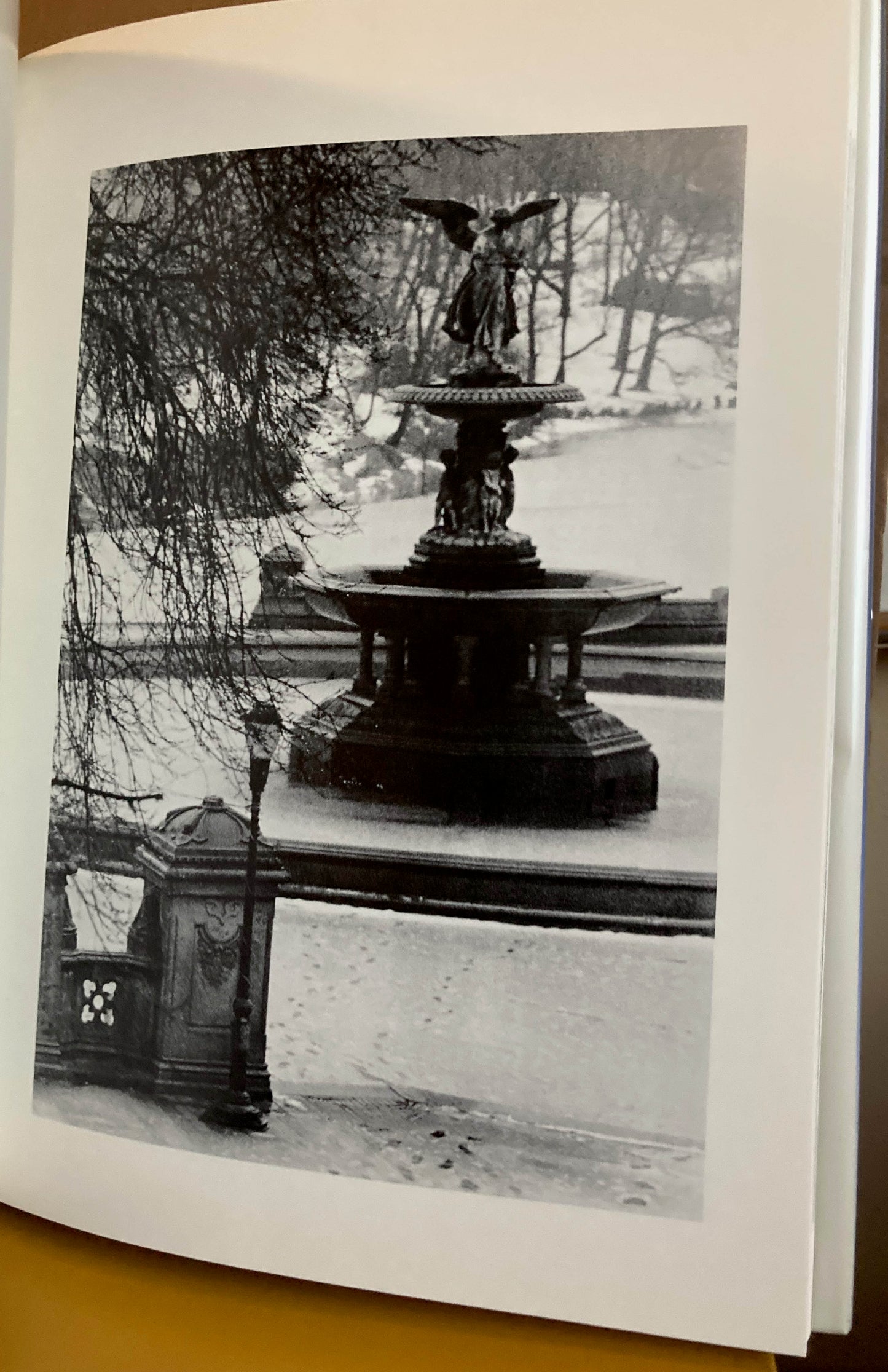 Werner, Don. Reflections of Winter. Photography by Don Werner. Poetry by Joyce Teichner Garrett.