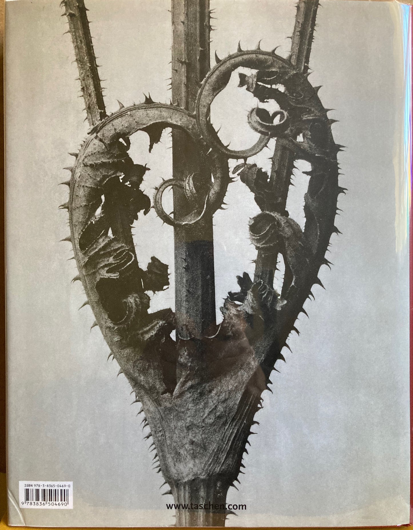 Blossfeldt, Karl. Karl Blossfeldt. The Complete Published Work by Hans Christian Adam.