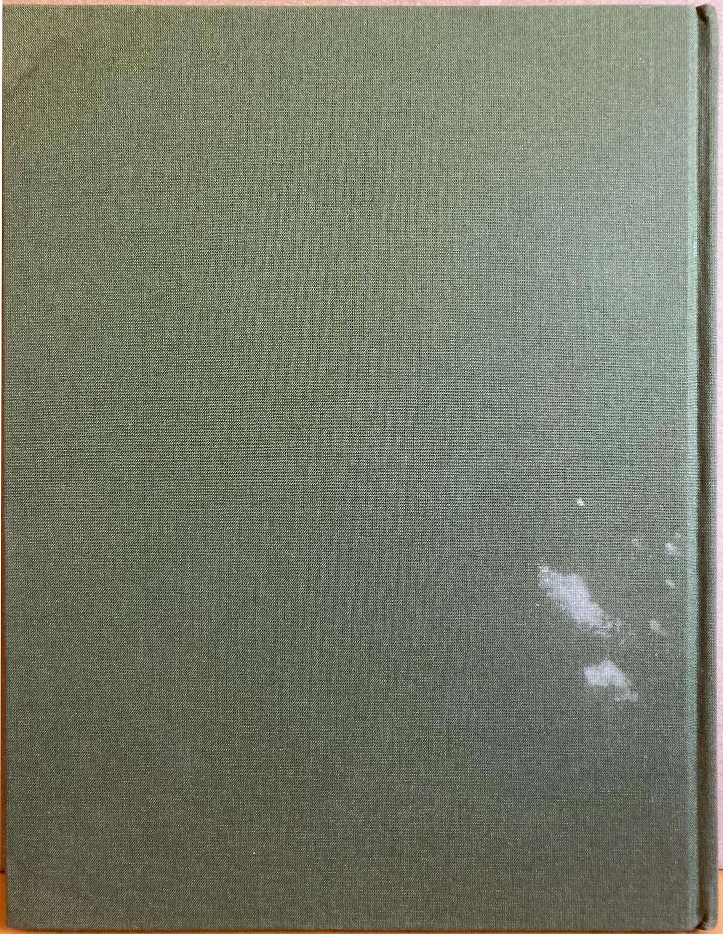 Italian immigrants, Ontario. One by One...Passo dopo passo...History of the Italian Community in Sarnia-Lambton. Storia Della Comunita’ Italiana di Sarnia-Lambton, 1870-1990.