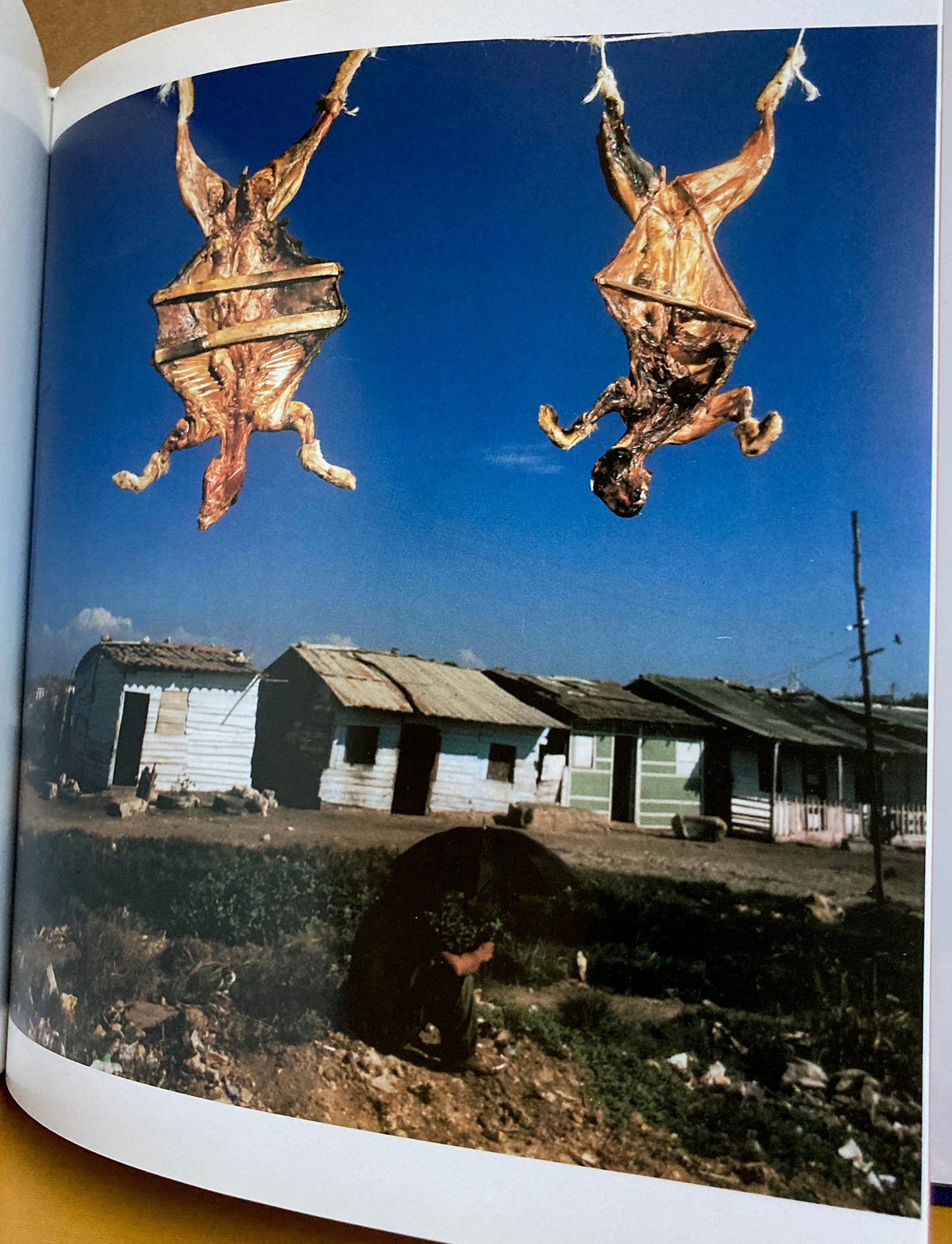 Wallrafen, Hannes. The World of Márquez: A Photographic Exploration of Macondo.
