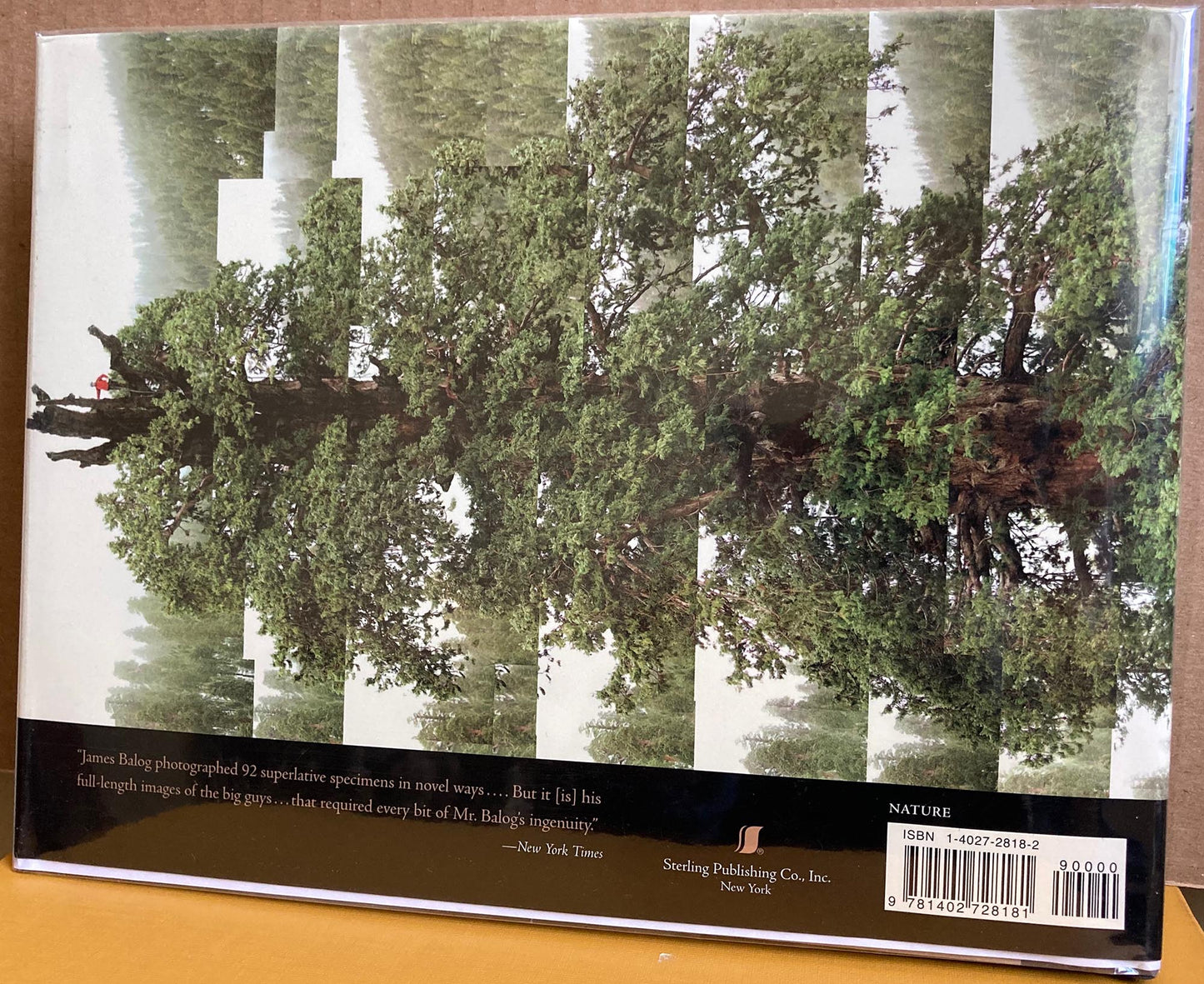 Balog, James. Tree: A New Vision of the American Forest. Photographs by James Balog.