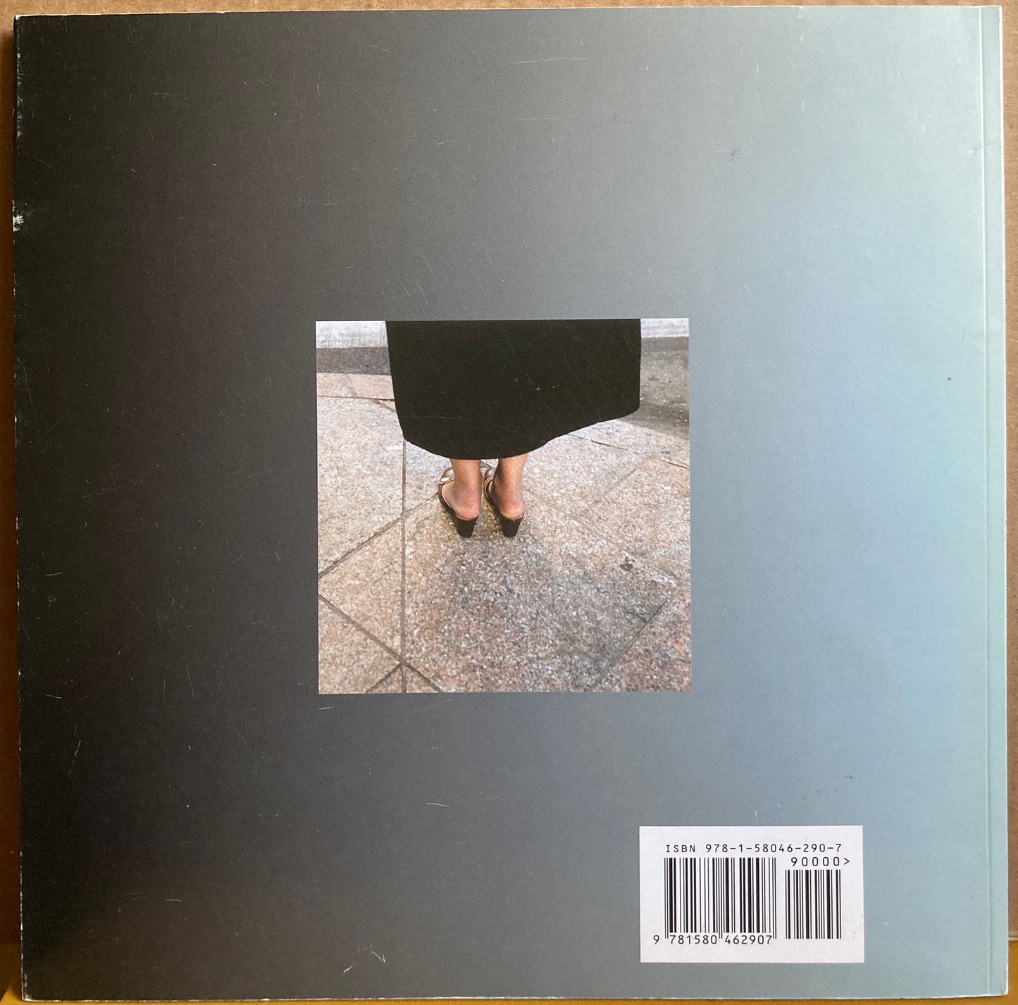 Merrill, Larry. Pedestrian Photographs by Larry Merrill.