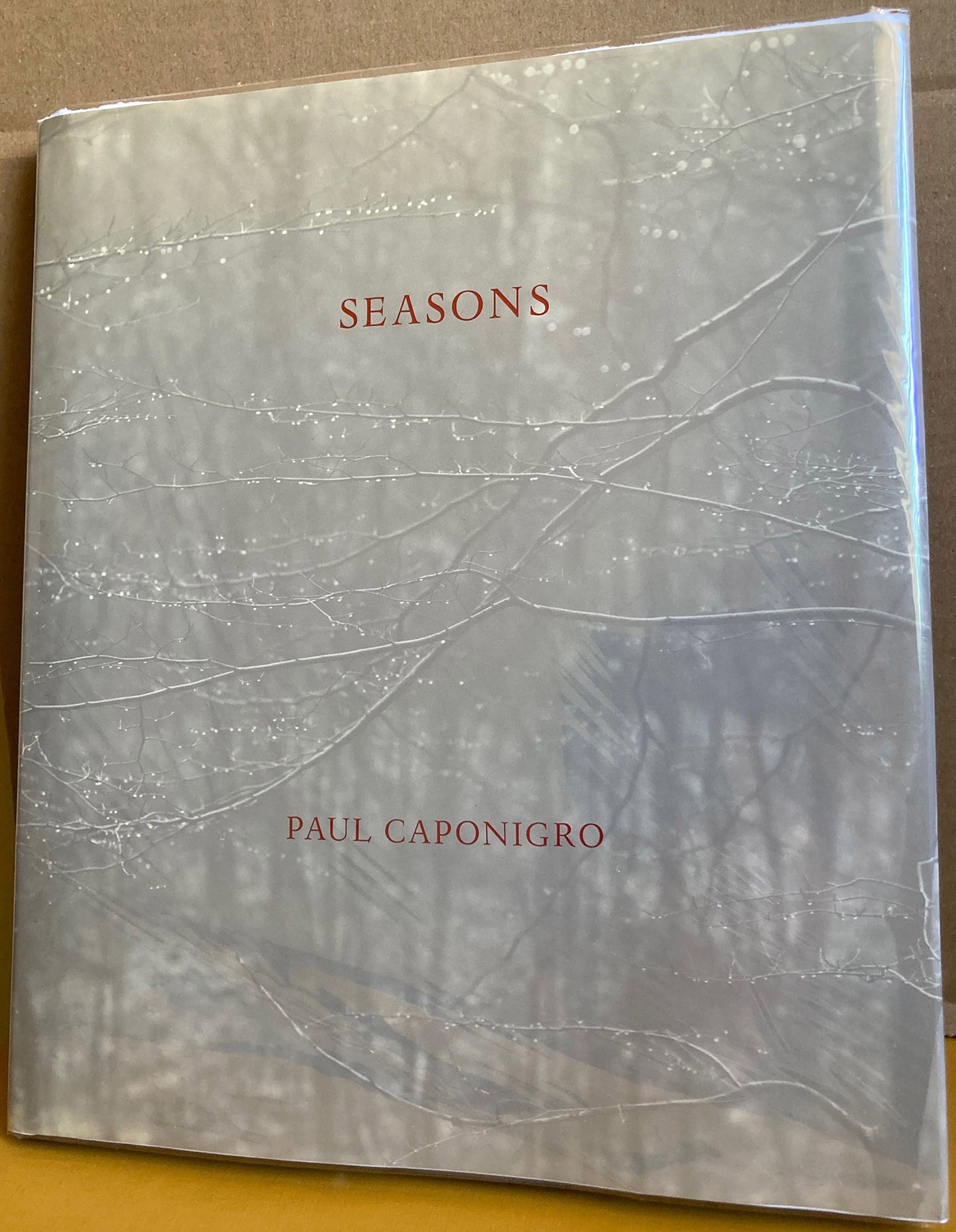 Caponigro, Paul. Seasons. Photographs by Paul Caponigro.