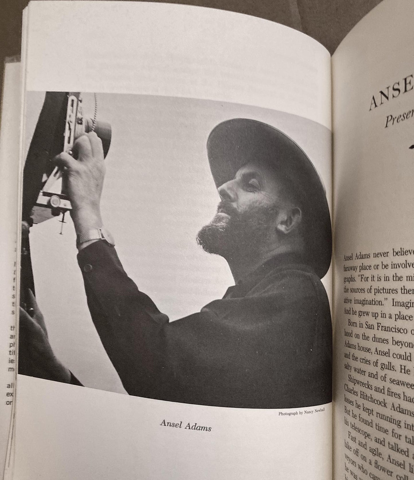 Famous Photographers by Aylesa Forsee. Biographies of 5 noted photographers.