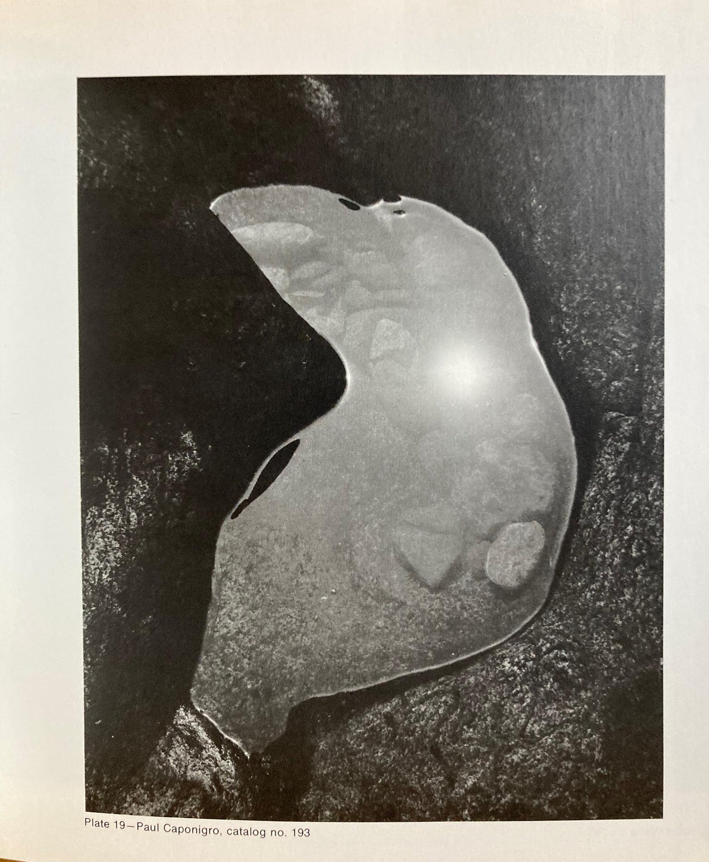 Photographs. Sheldon Memorial Art Gallery Collections, University of Nebraska-Lincoln.