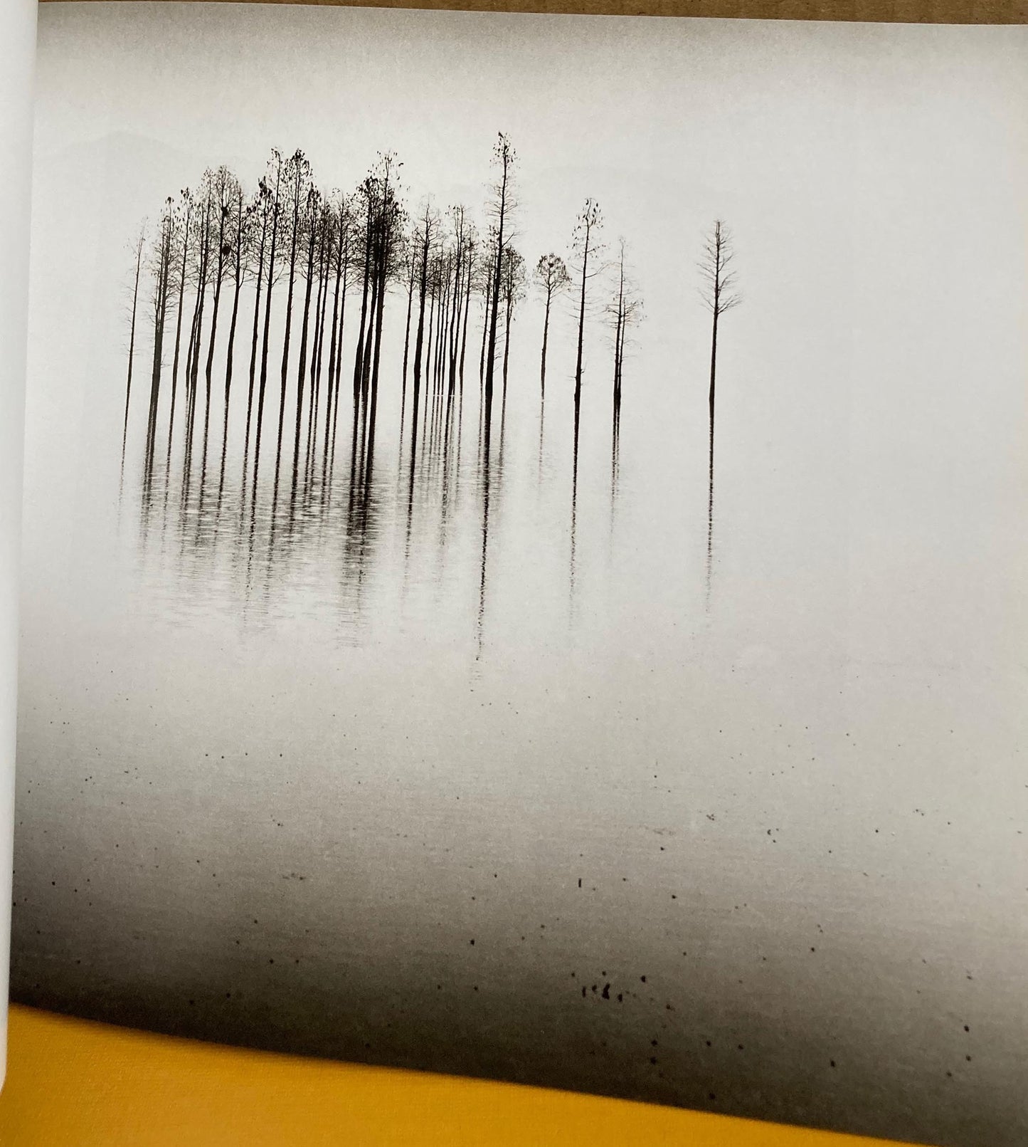 Shao, Dalang. China: Land of My Heart. LensWork Monograph Series 11 by Dalang Shao.