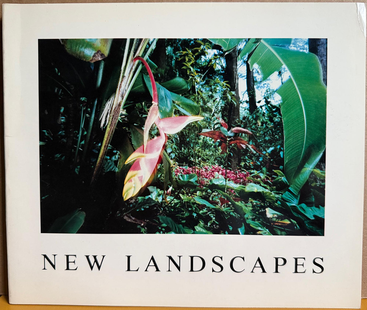 Adams, Robert, et al. New Landscapes. Untitled 24.