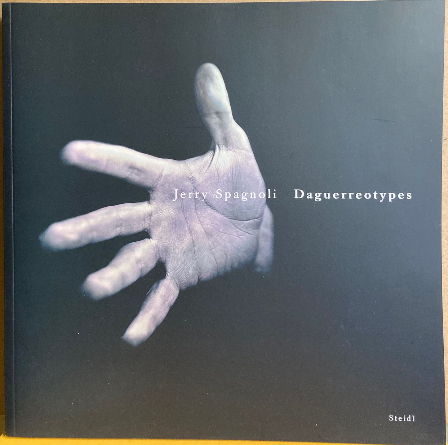 Spagnoli, Jerry.  Daguerreotypes, 1990–2004 by Jerry Spagnoli.