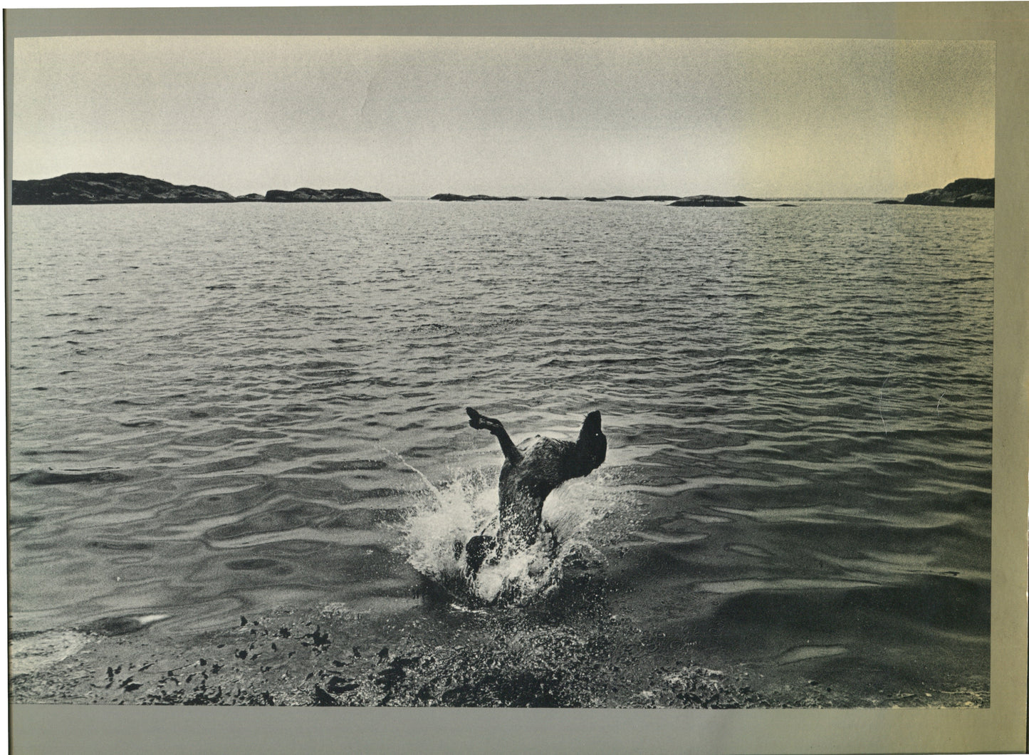 Bengston, Jim. Afterwords: Photographs by Jim Bengston.