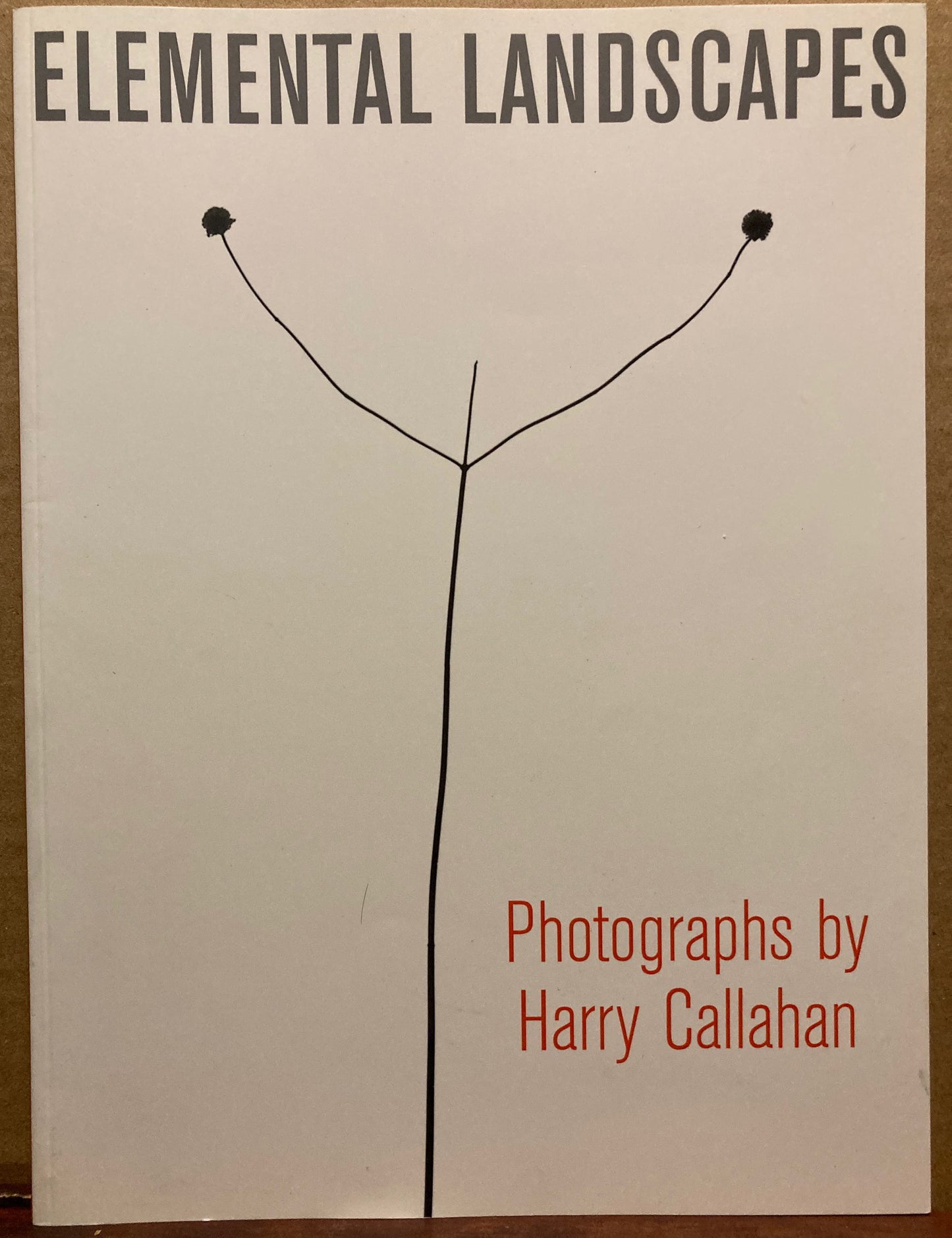 Callahan, Harry. Elemental Landscapes: Photographs by Harry Callahan.