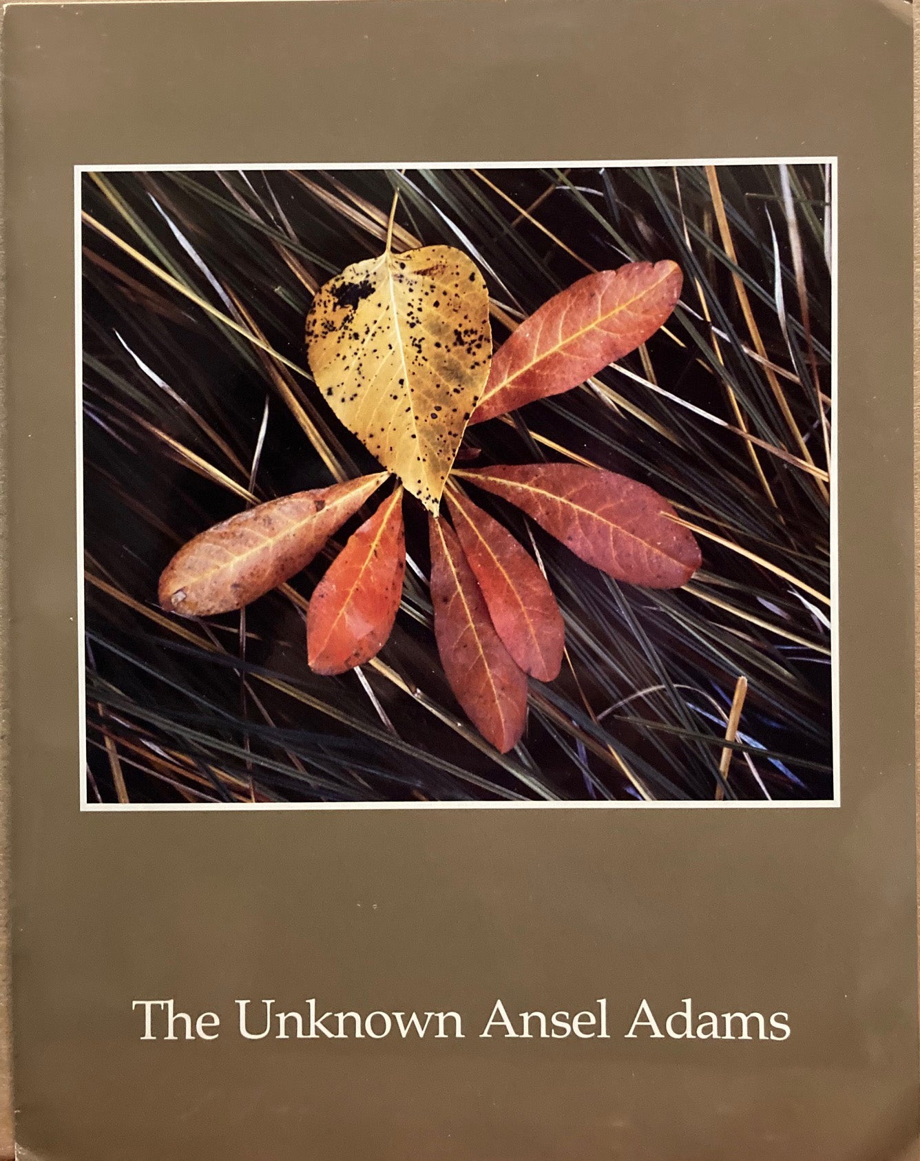Adams, Ansel. The Unknown Ansel Adams.