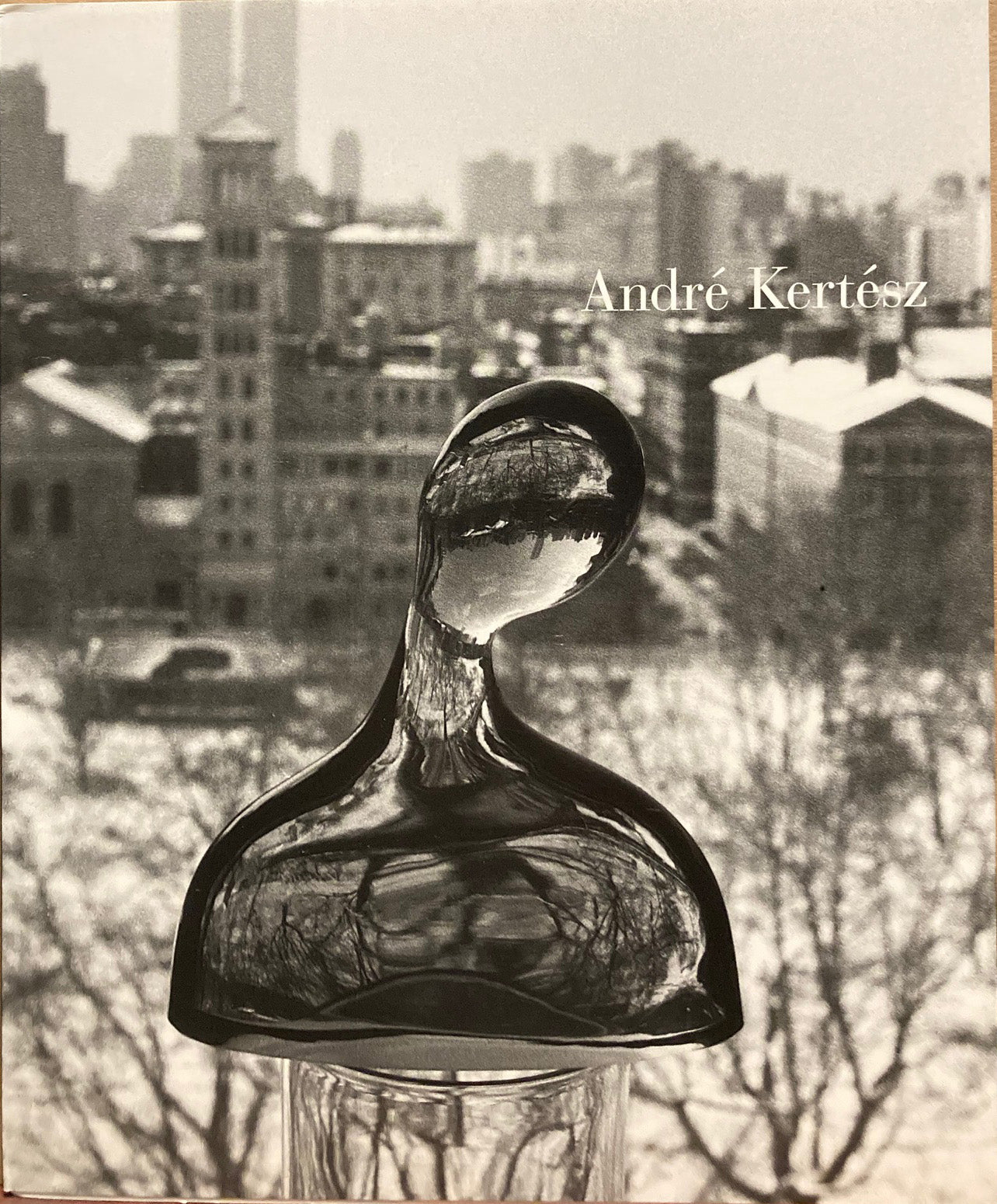 Kertesz, Andre. Andre Kertesz: New York State of Mind.