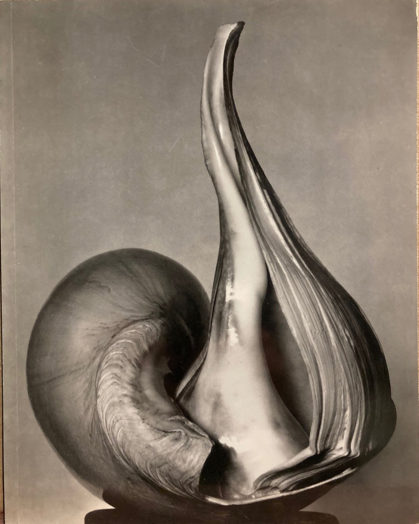Weston, Edward. EW 100. Centennial Essays in Honor of Edward Weston.