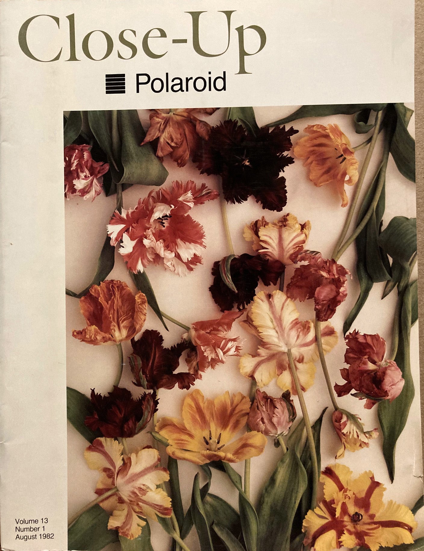 Polaroid Close-Up. Volume 13, Number 1. August 1982. Danny Lyon, Sheila Metzner, et al.