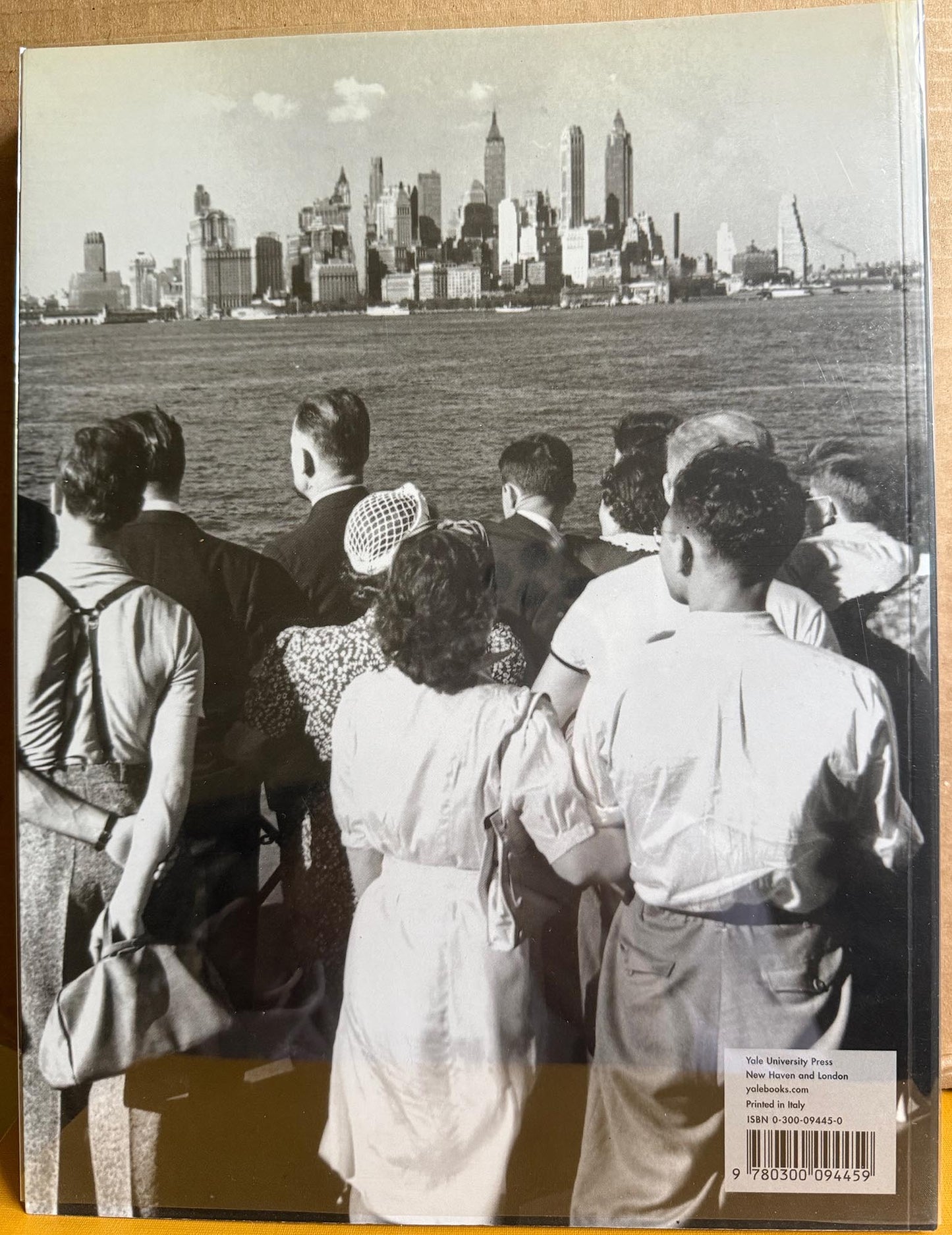 New York: Capital of Photography by Max Kozloff.