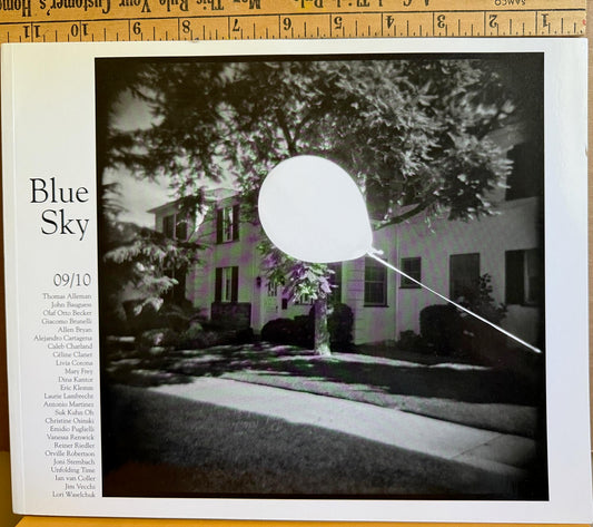 Blue Sky Annual Yearbook 09/10 featuring Vietnamese photographers, et al.