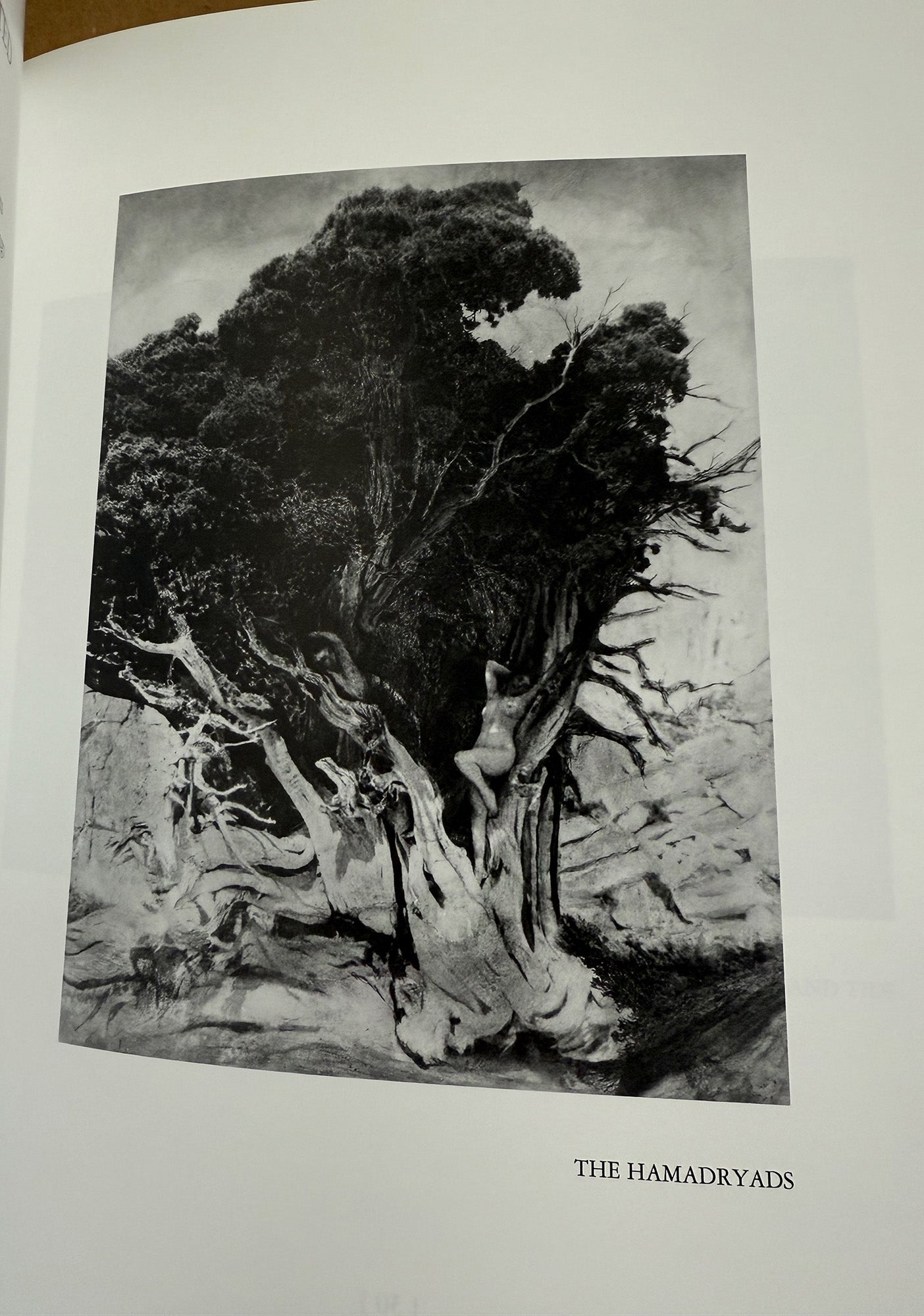 Brigman, Anne. Anne Brigman’s Songs: Her Life, Her Photographs, Her Poems by James Rhem.