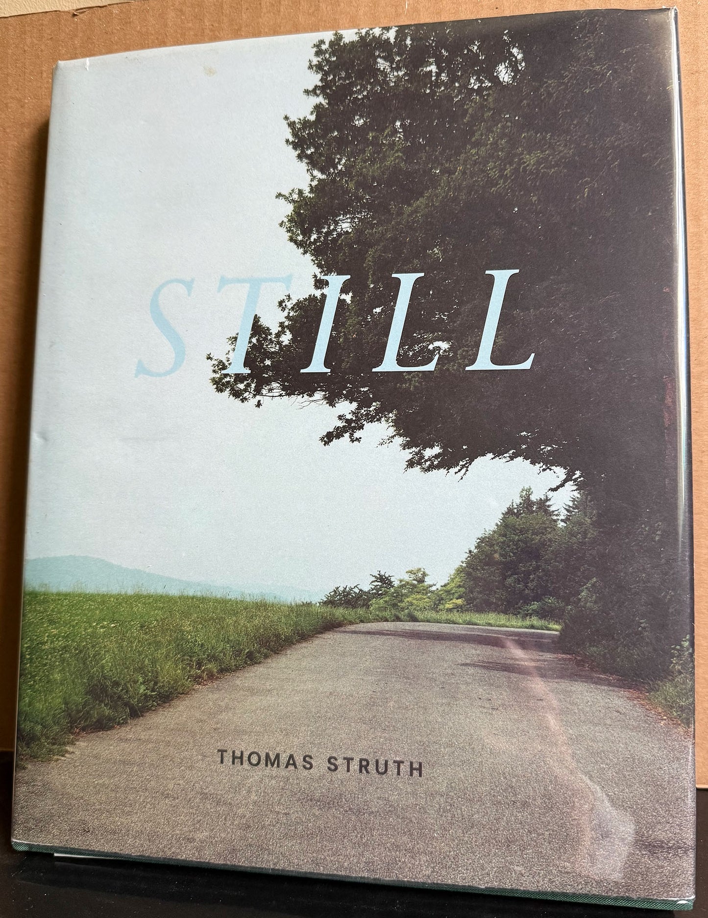 Struth, Thomas.  Still by Thomas Sturth.