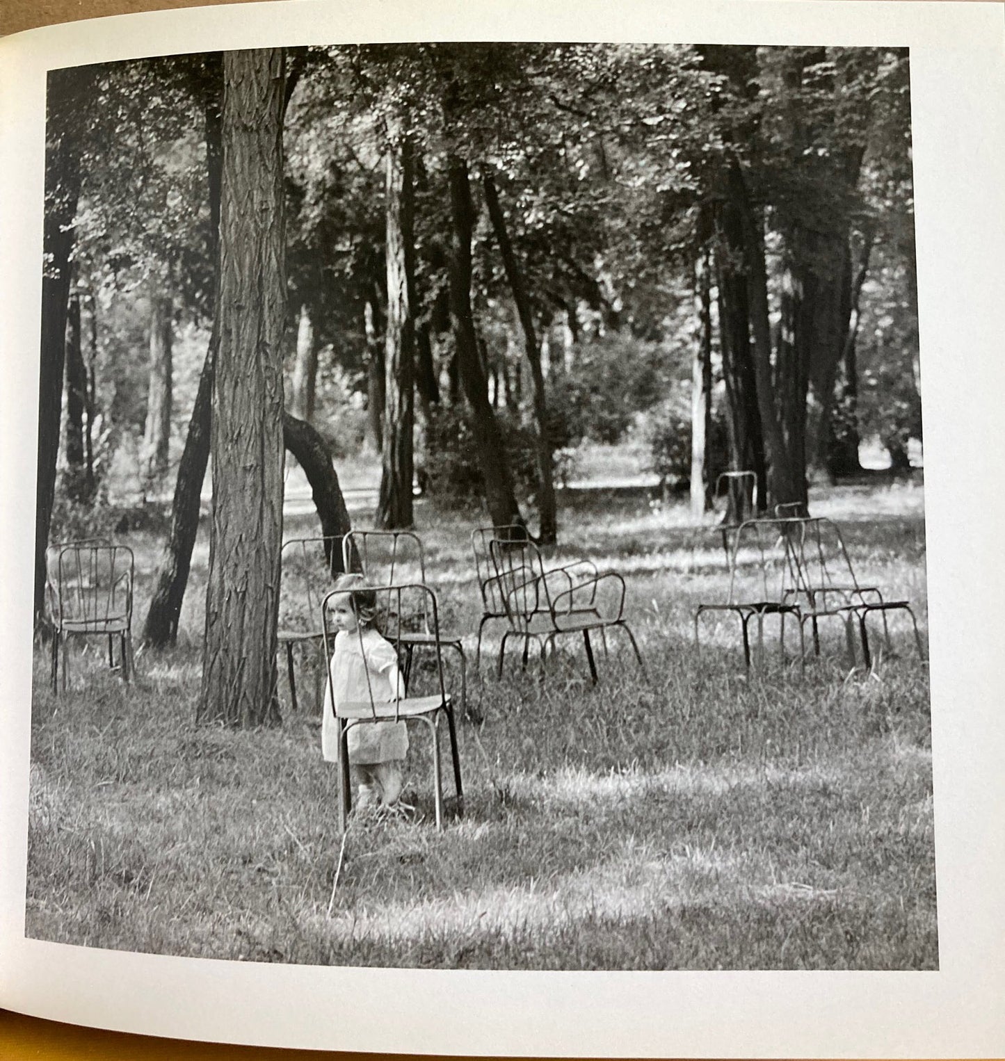 Burden, Shirley. Chairs. Text and photographs by Shirley Burden.