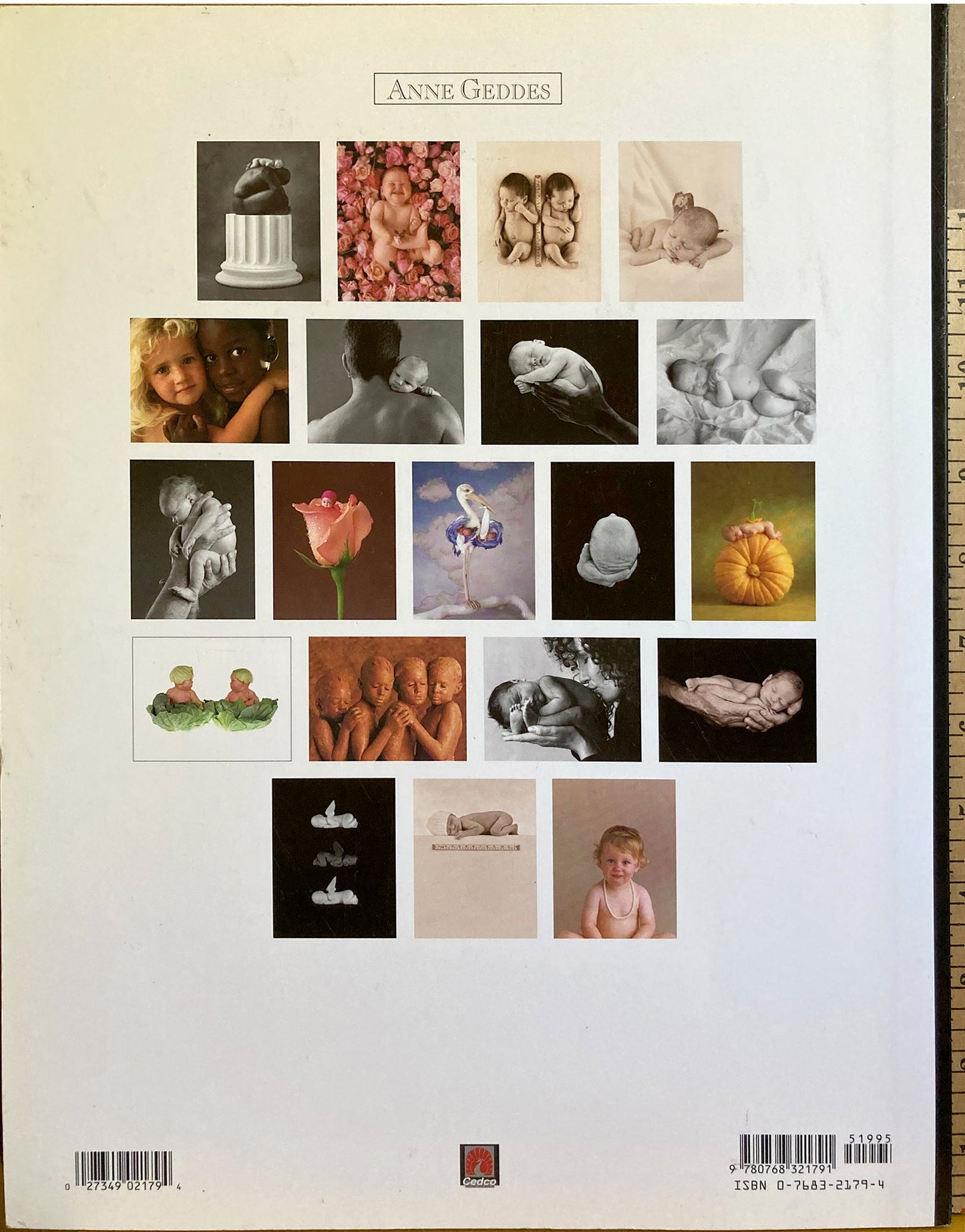 Geddes, Anne.  Until Now: Anne Geddes Photofolio.