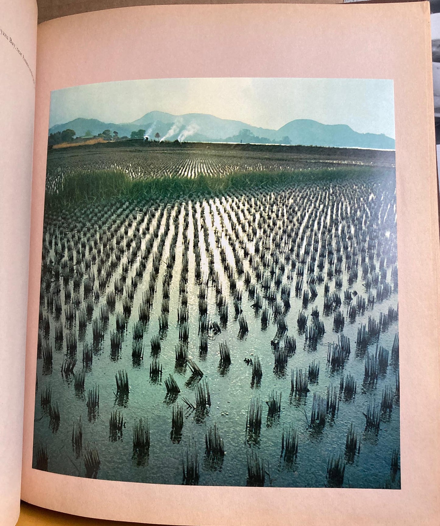 Japan in Color. Photographs by Roloff Beny. Text by Anthony Thwaite.