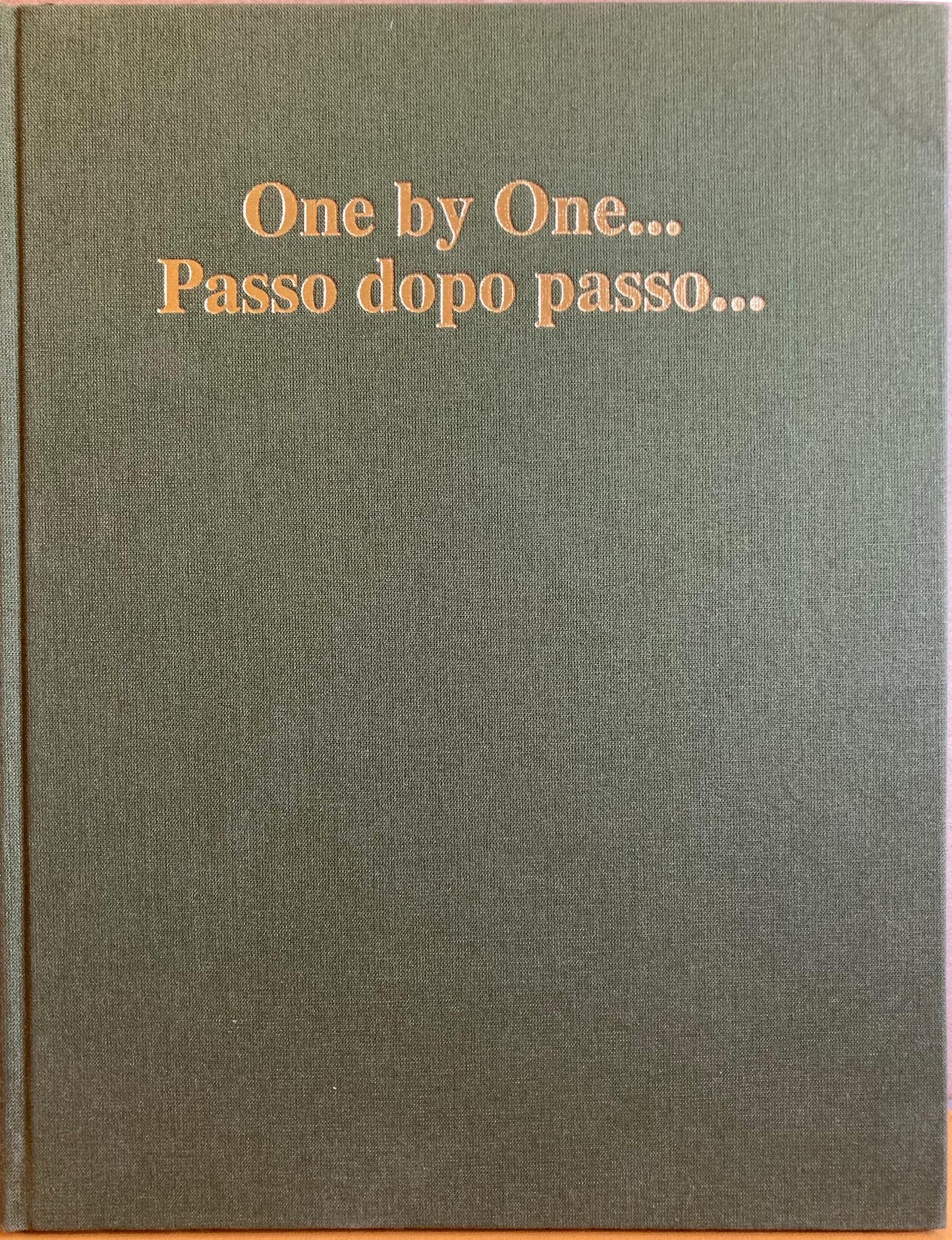 Italian immigrants, Ontario. One by One...Passo dopo passo...History of the Italian Community in Sarnia-Lambton. Storia Della Comunita’ Italiana di Sarnia-Lambton, 1870-1990.