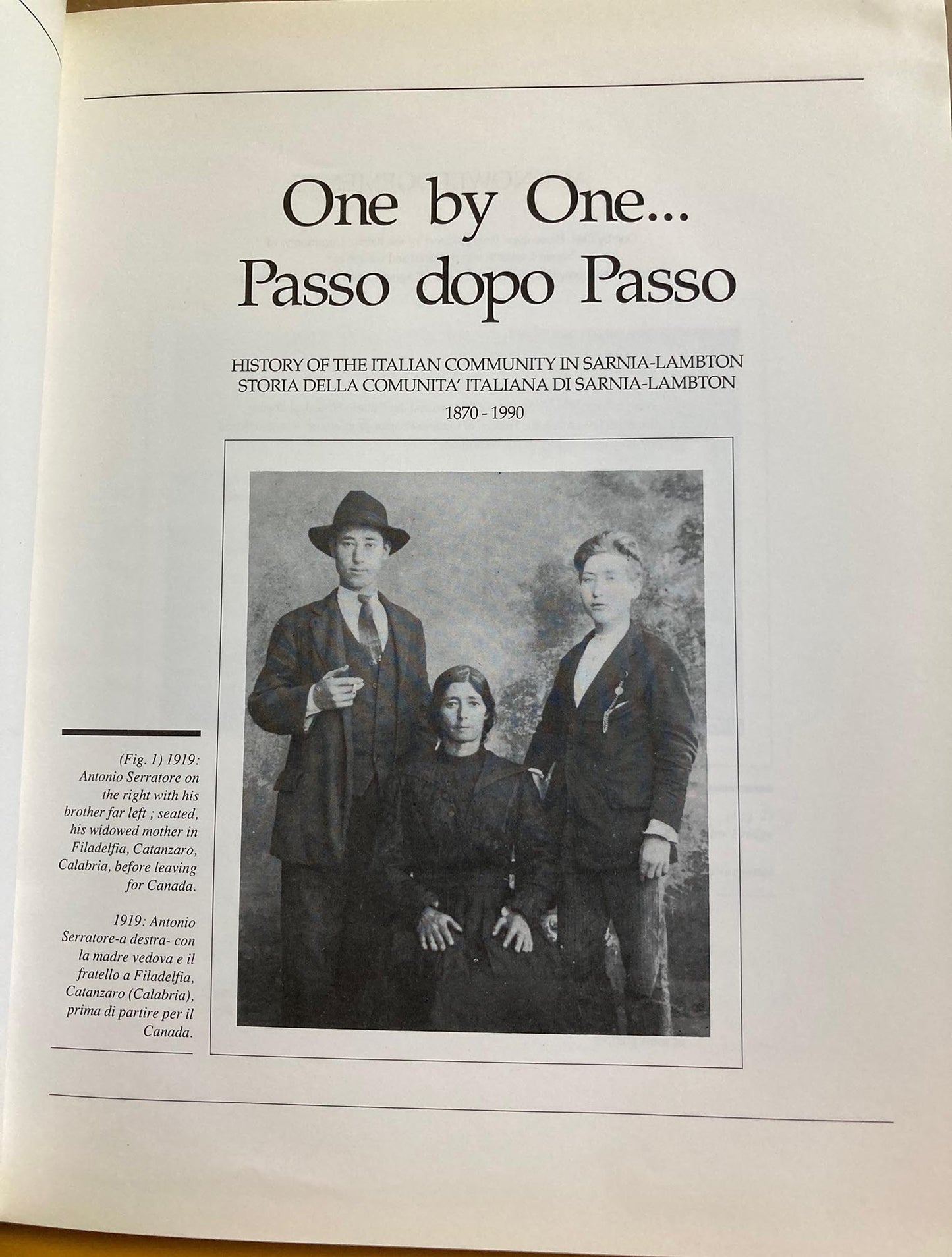 Italian immigrants, Ontario. One by One...Passo dopo passo...History of the Italian Community in Sarnia-Lambton. Storia Della Comunita’ Italiana di Sarnia-Lambton, 1870-1990.