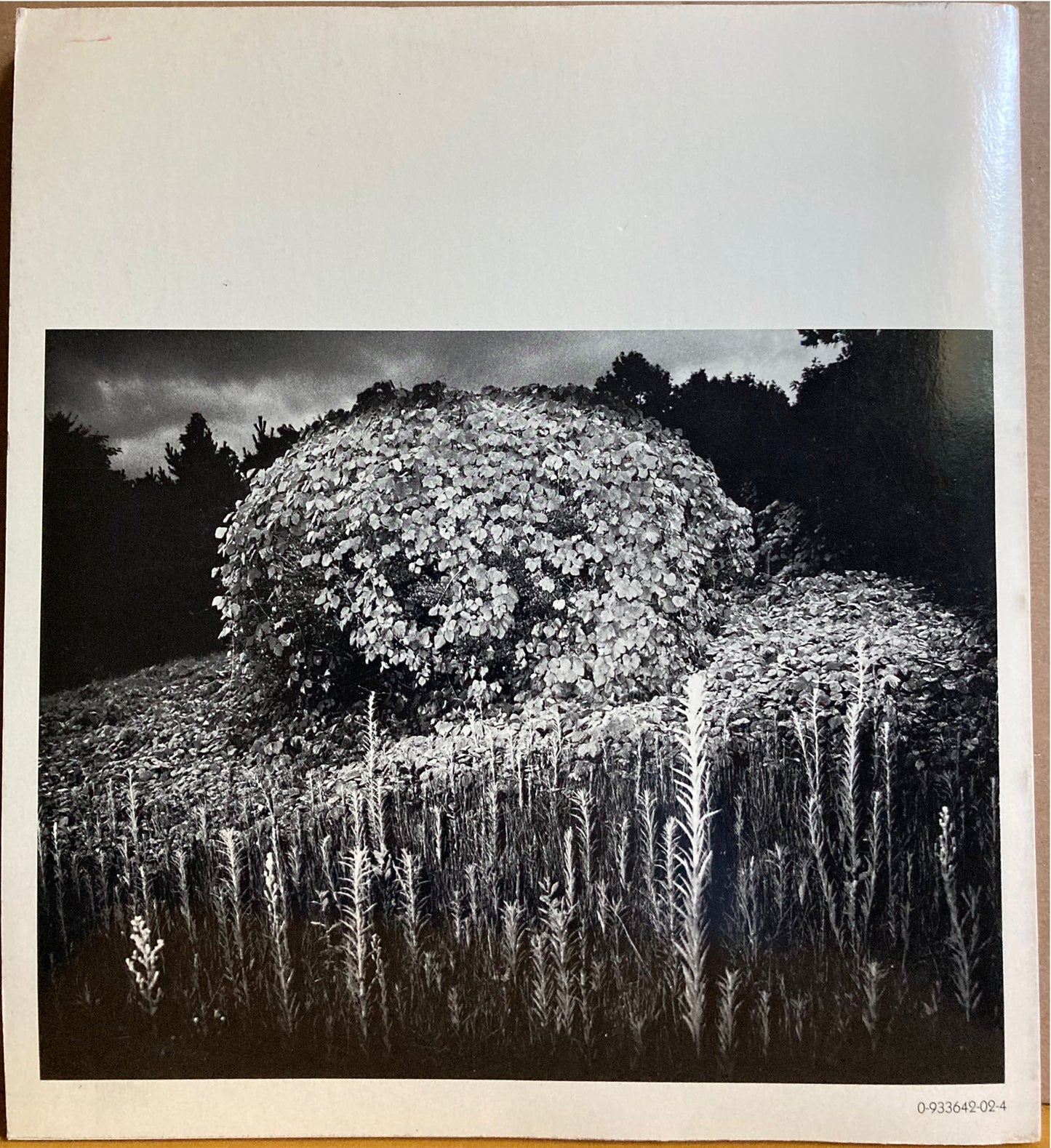 Japan: A Self-Portrait.  Exhibition April-May 1979 organized by Cornell Capa.