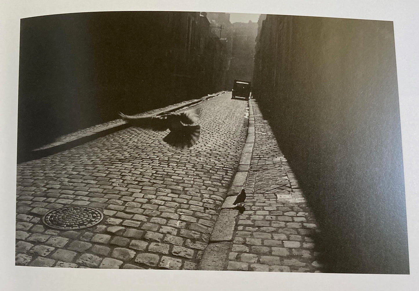 Tao of Photography: Seeing Beyond Seeing by Philippe L. Gross and S.I. Shapiro. Ten Speed, 2001.