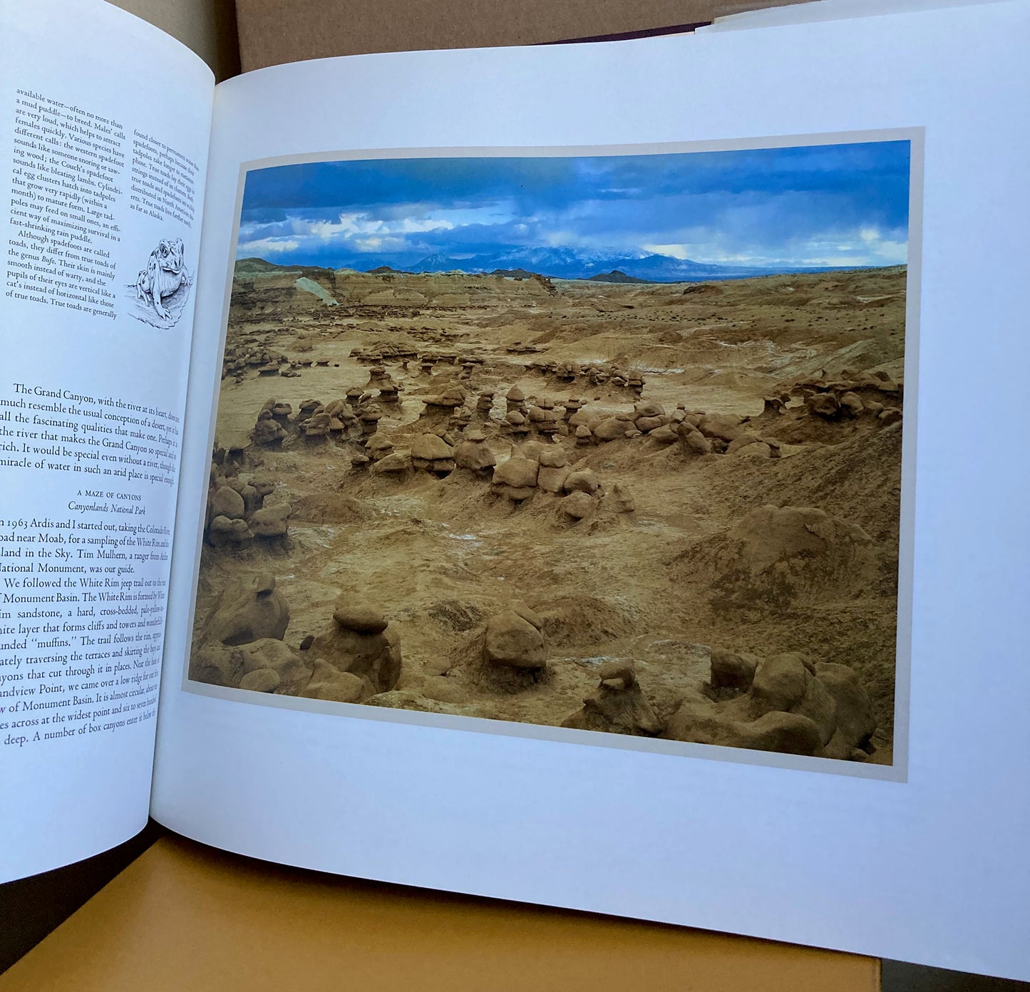 Hyde, Philip.  Drylands: The Deserts of North America by Philip Hyde.