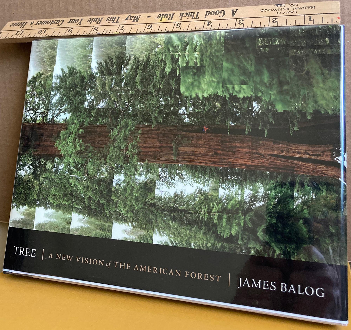 Balog, James.  Tree: A New Vision of the American Forest. Photographs by James Balog.