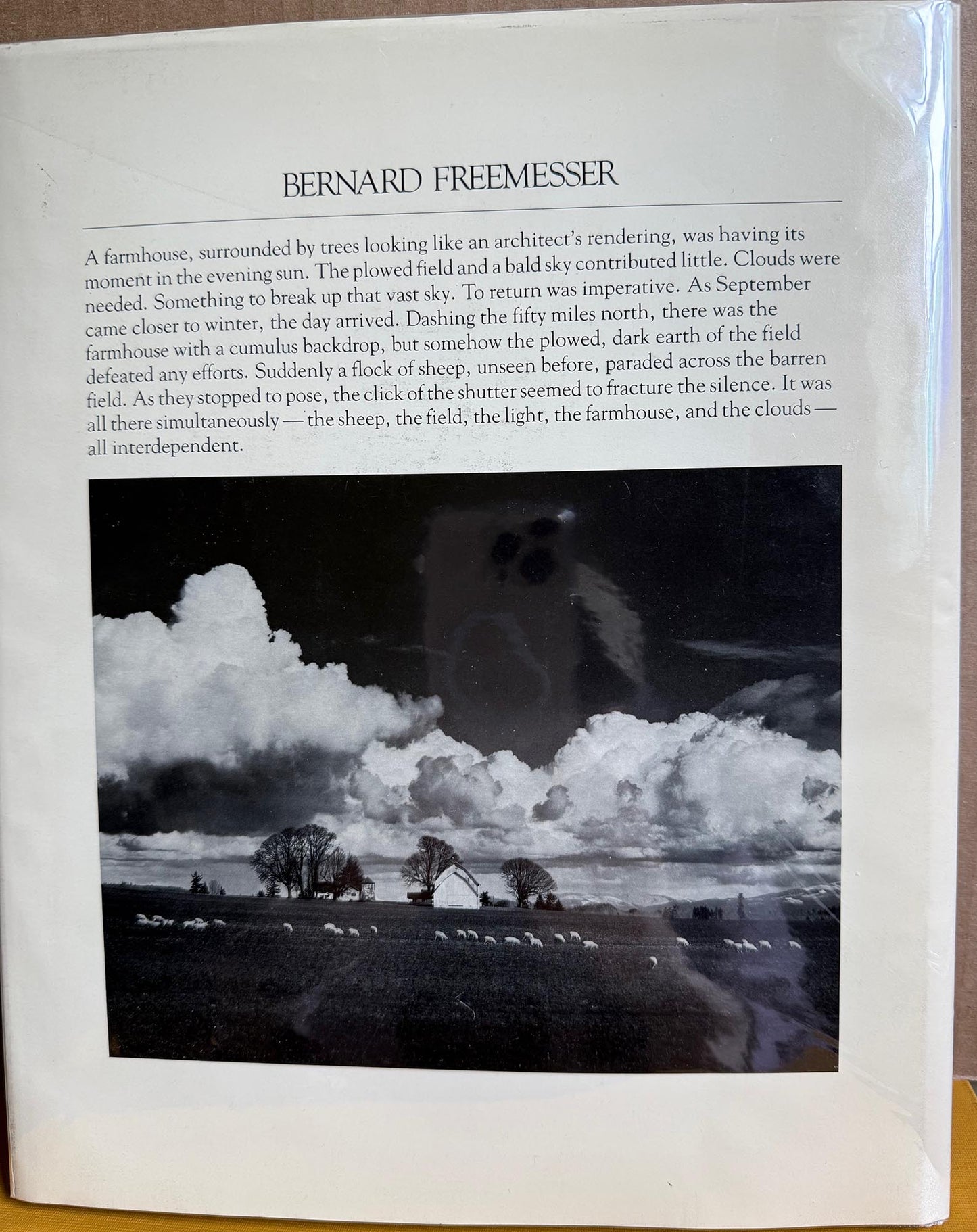 Freemesser, Bernard. An Oregon Experience by Bernard Freemesser.