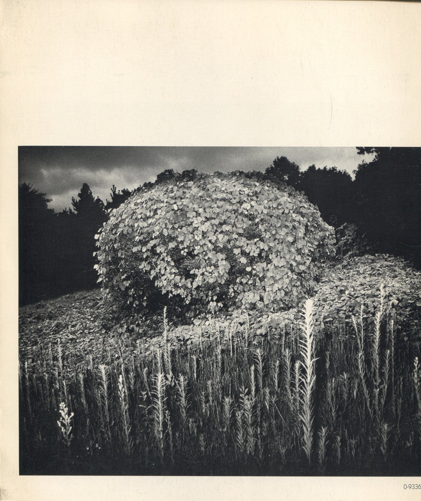 Japan: A Self Portrait. International Center of Photography, 1979.