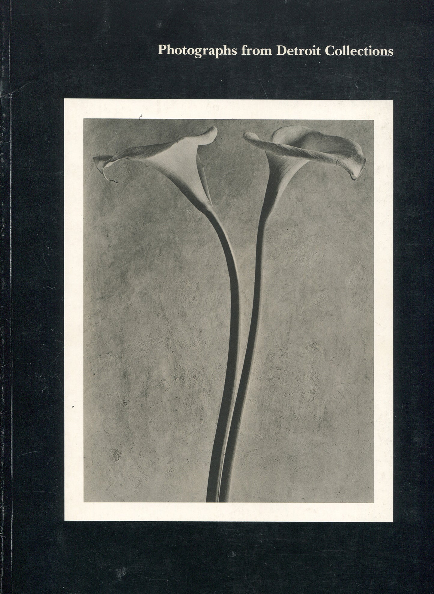 Photographs from Detroit Collections, edited by Julia Henshaw with texts by Frederick J. Cummings and Ellen Sharp.