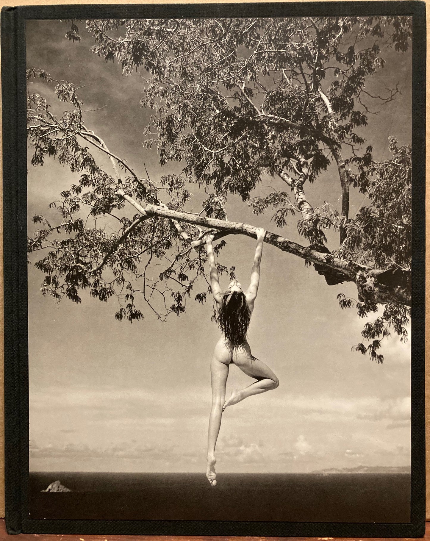 Demarchelier, Patrick. Patrick Demarchelier Photographs. Text by Glenn O'Brien.