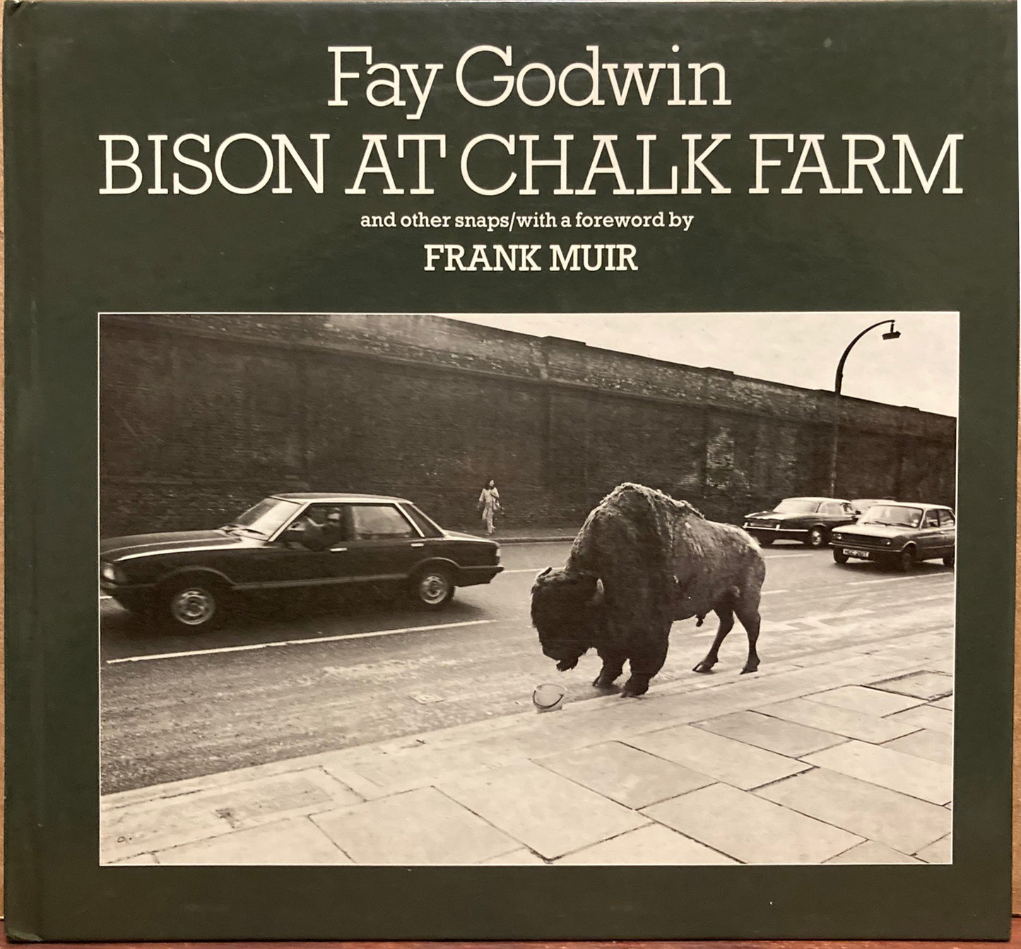 Godwin, Fay. Bison at Chalk Farm and Other Snaps by Fay Godwin.