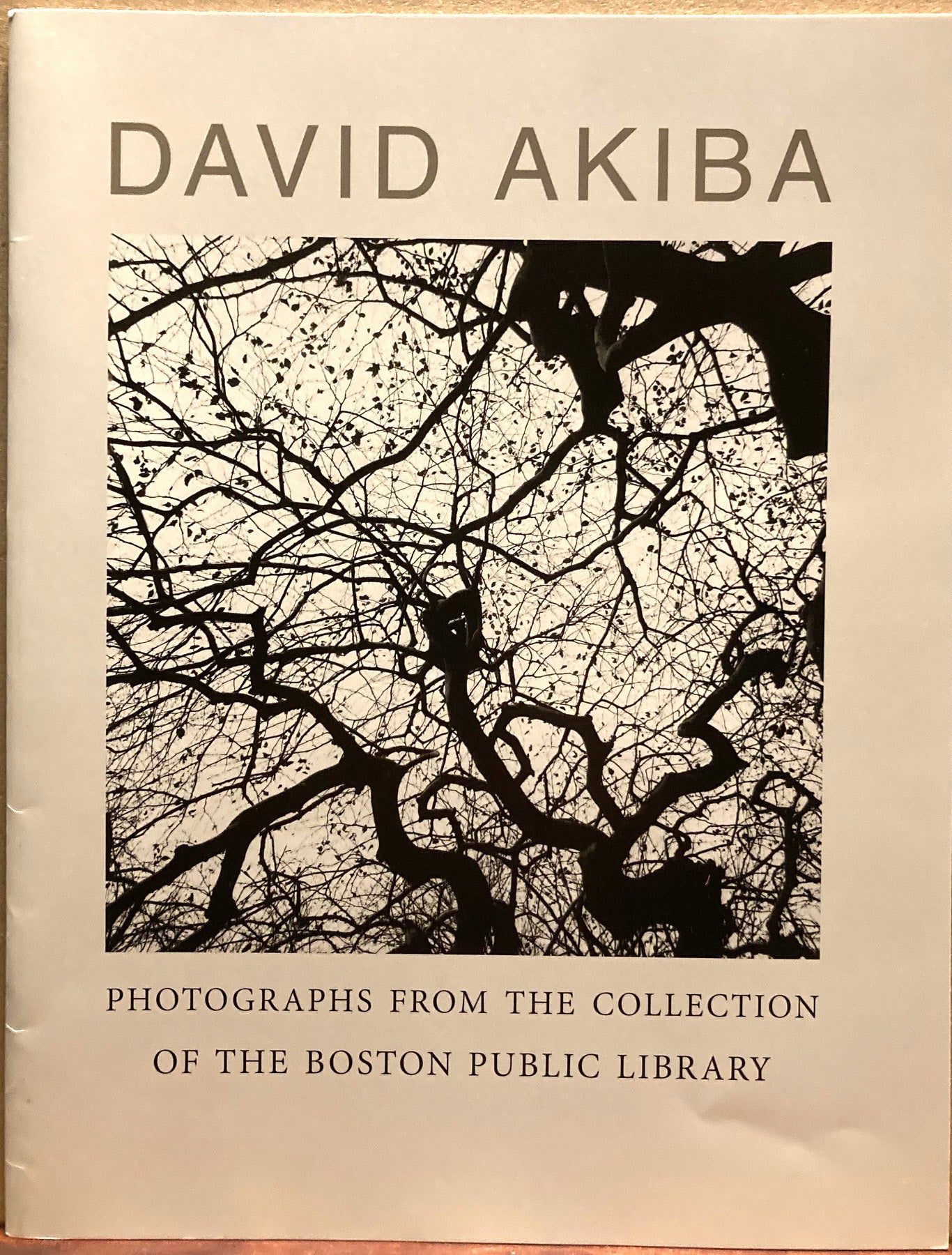 Akiba, David. David Akiba: Photographs from the Collection of the Boston Public Library.