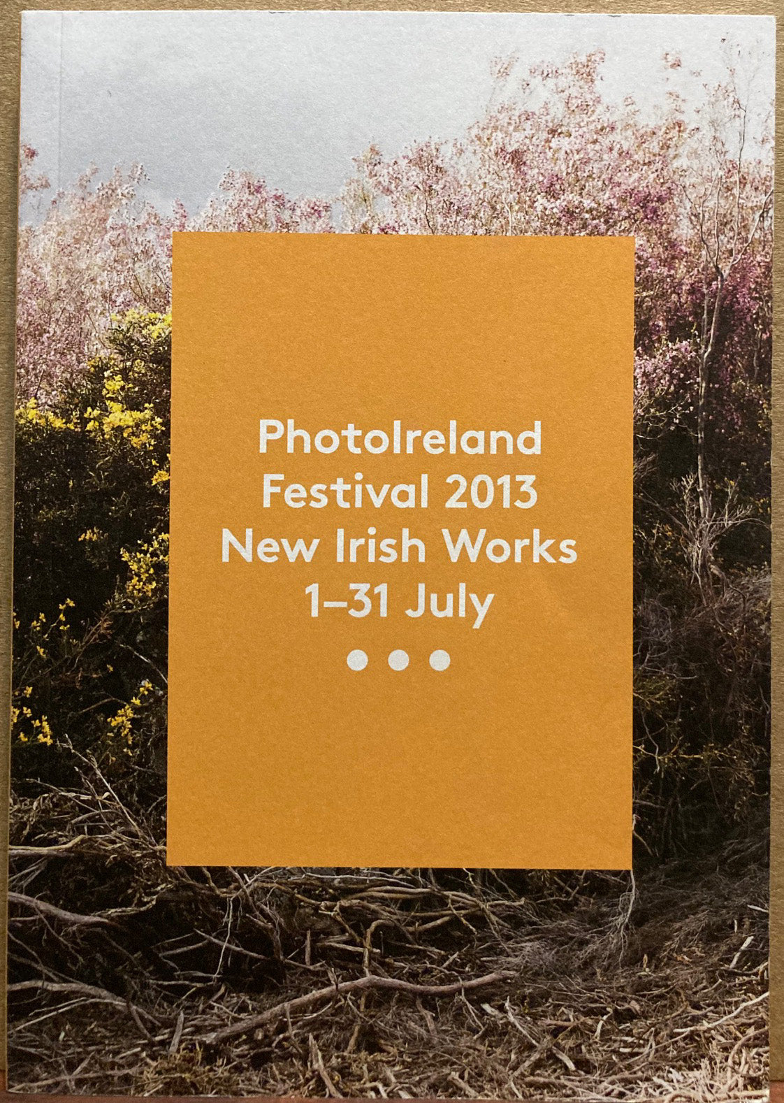 Ireland. PhotoIreland Festival 2013. New Irish Works 1-31 July.