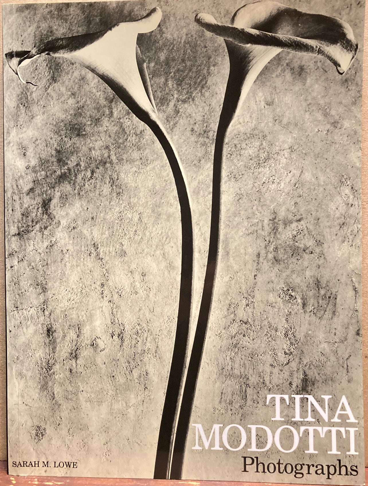 Modotti, Tina. Tina Modotti: Photographs, by Sarah M. Lowe.