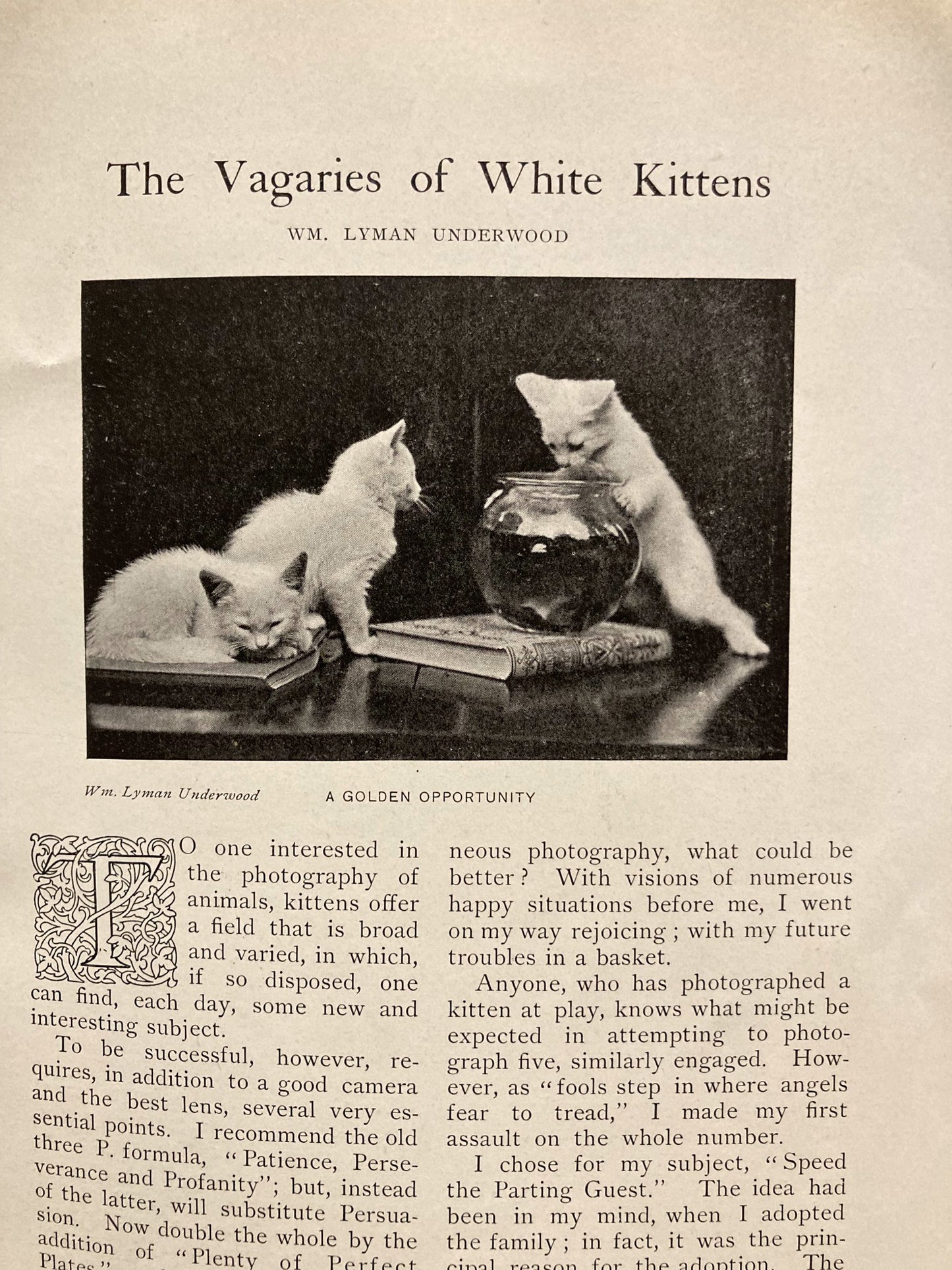 Photo Era. September 1899. Volume III, No. 4. Including "Who Invented Photography?"