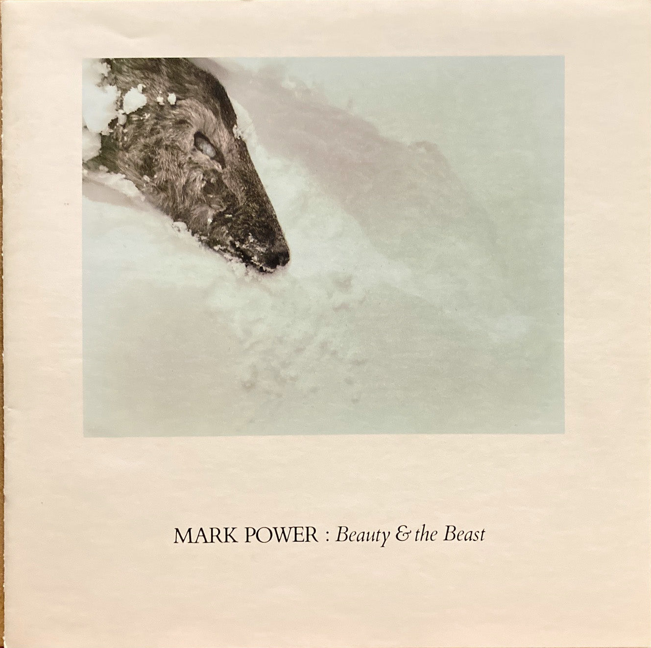 Power, Mark. Mark Power: Beauty & the Beast. October 4 - December 9, 1979.