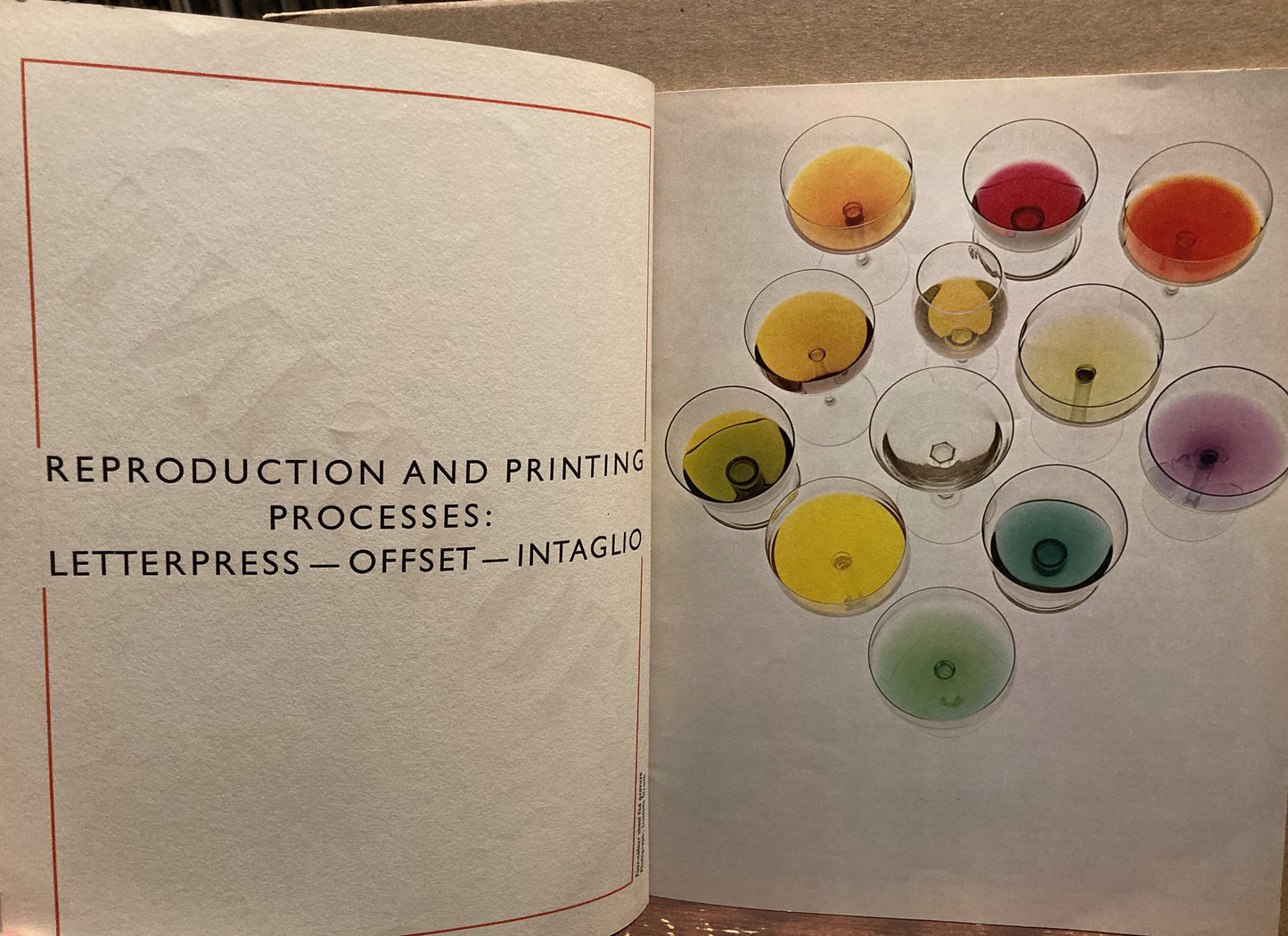 Reproduction and Printing Processes.  Richard Avedon, et al.