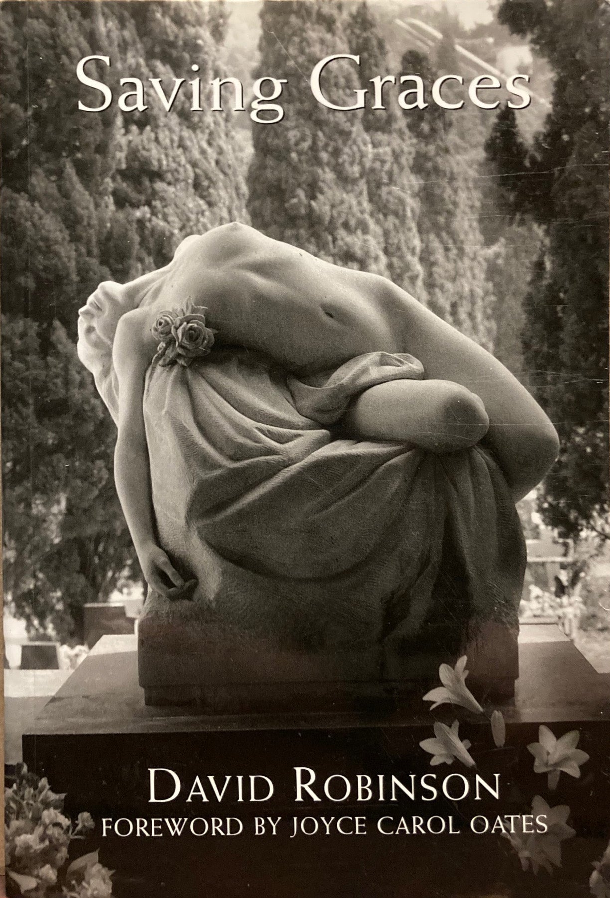 Robinson, David. Saving Graces: Images of Women in European Cemeteries by David Robinson.