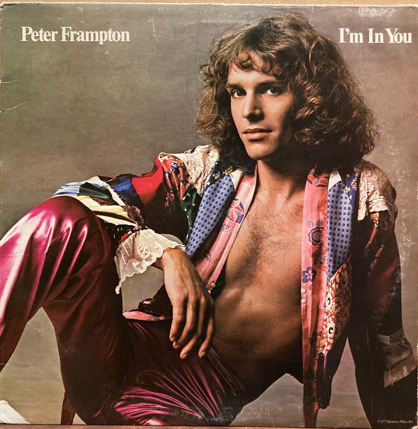 Penn, Irving. Record Album: Peter Frampton, I'm in You. Cover photo by Irving Penn.