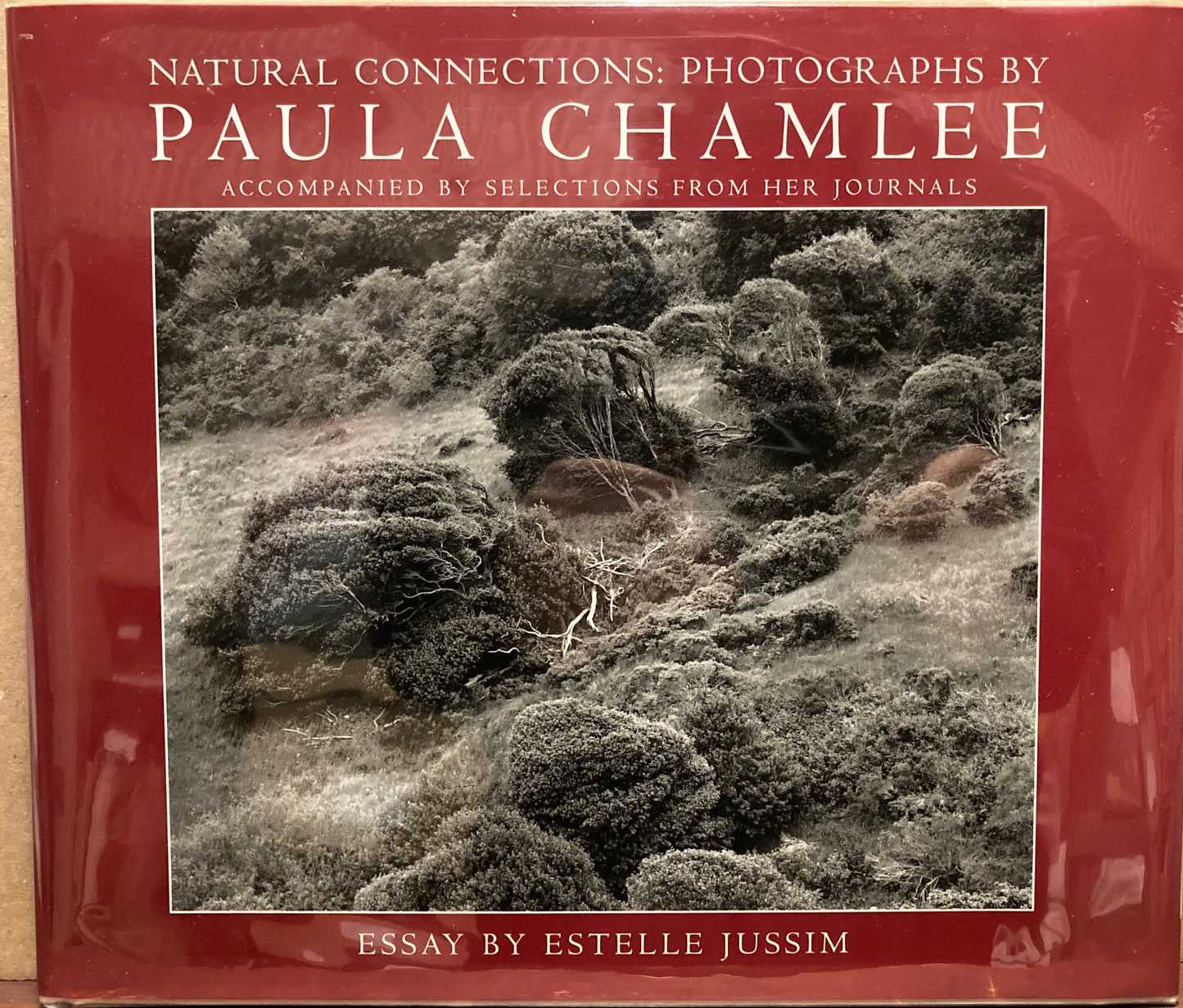 Chamlee, Paula. Natural Connections: Photographs by Paula Chamlee Accompanied by Selections from Her Journals. Essay by Estelle Jussim.  Signed.