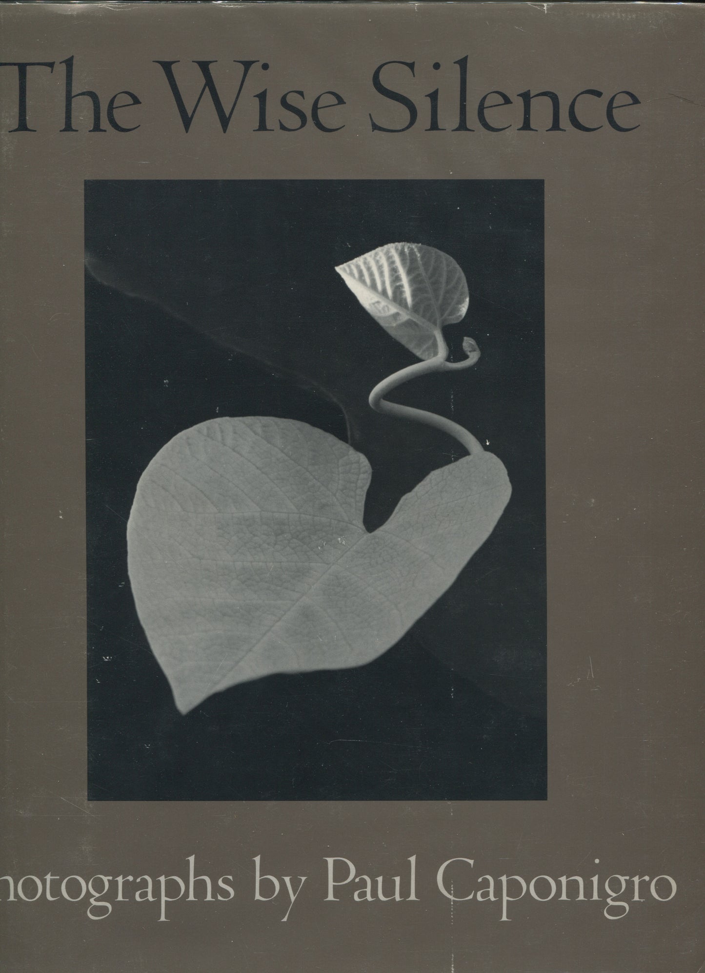 Caponigro, Paul. The Wise Silence. Photographs by Paul Caponigro. Essay by Marianne Fulton.