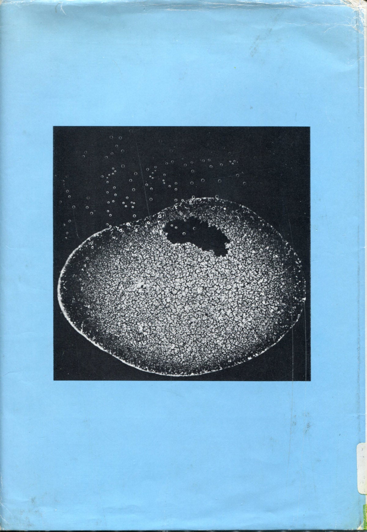 Photomacrography: Art and Techniques by Jean Papert.