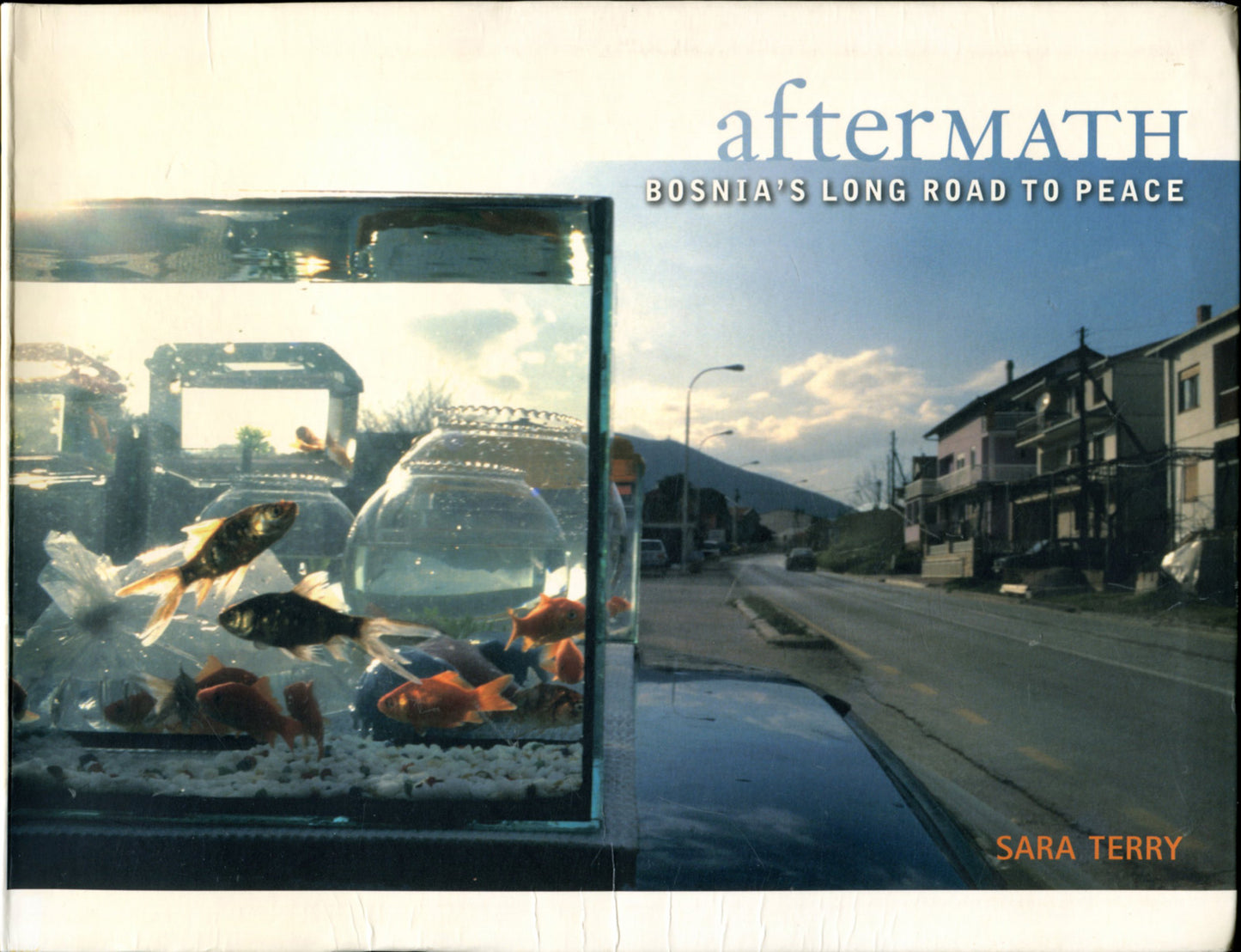 Terry, Sara. Aftermath: Bosnia’s Long Road to Peace. Photographs by Sara Terry.